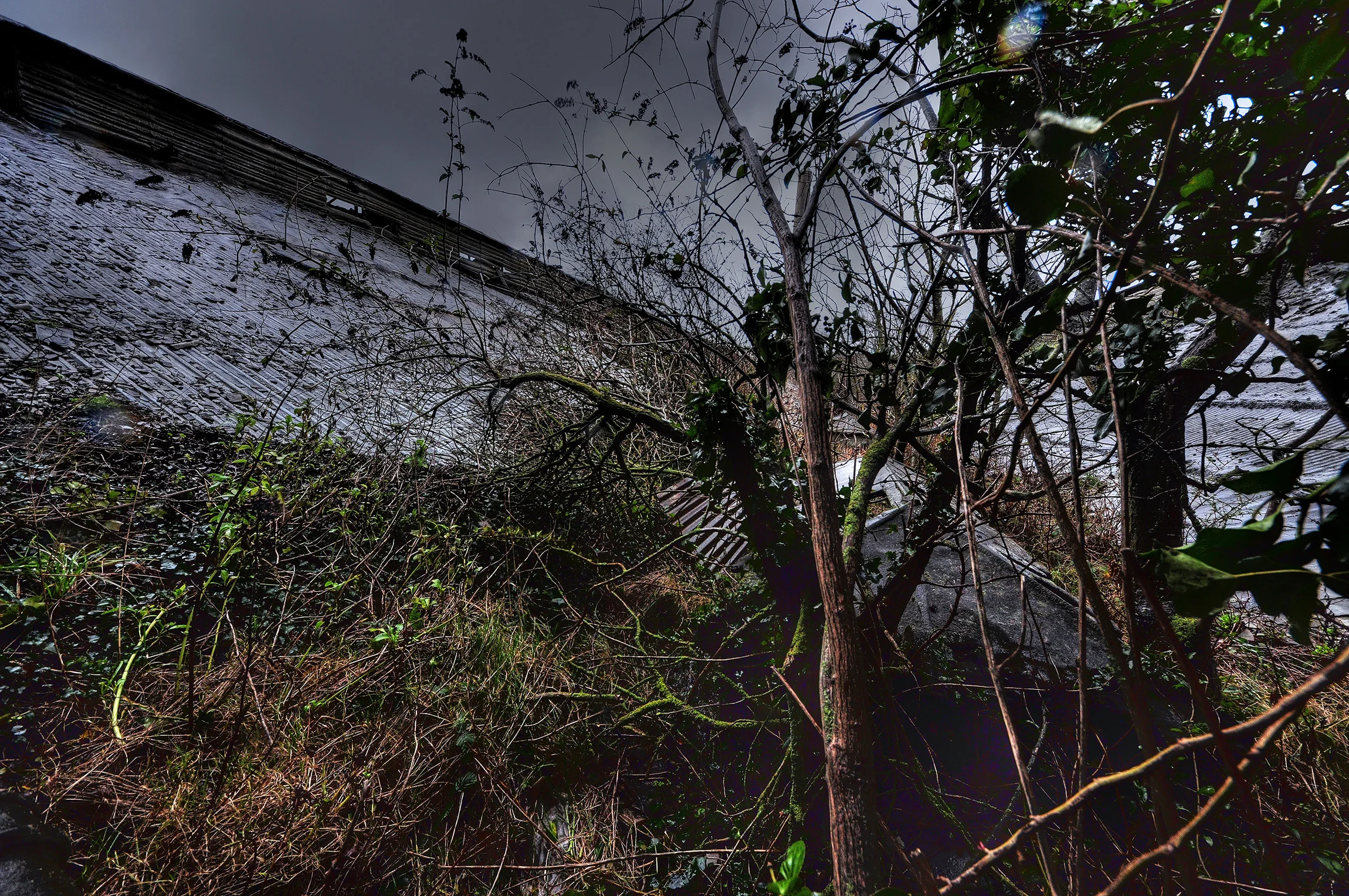 DSC_0652_Enhancer.jpg