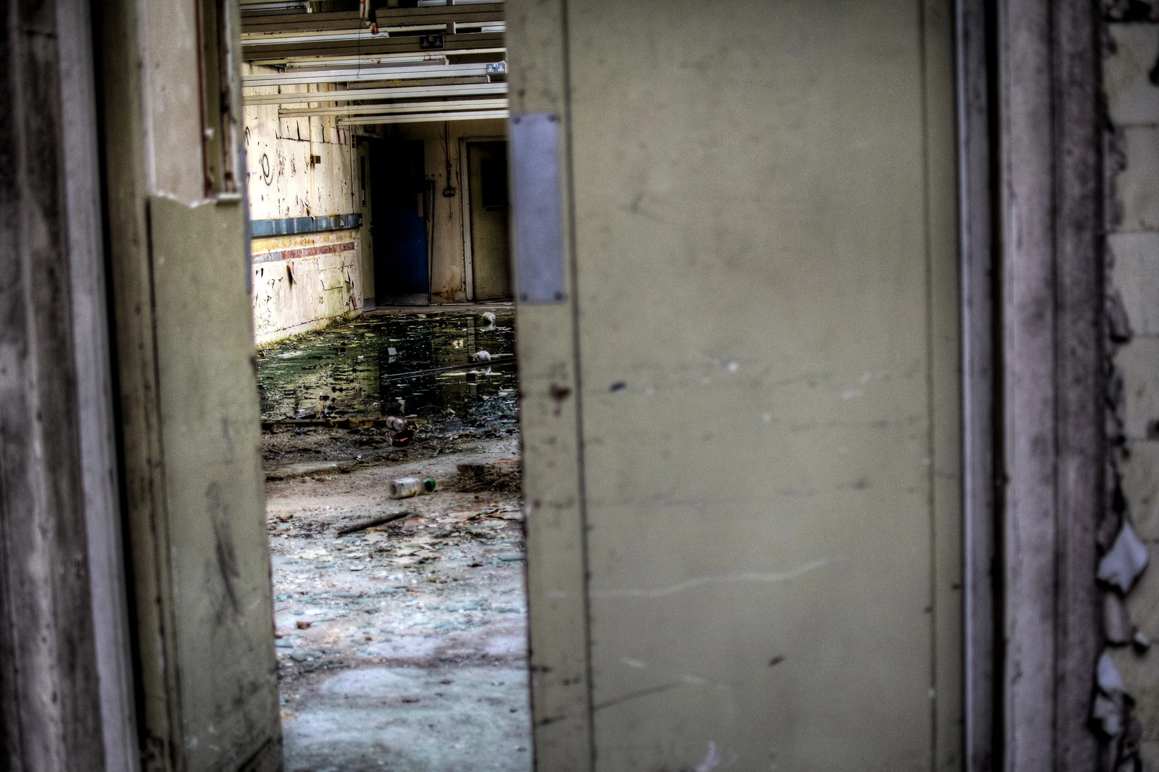 STH-Main Room-0006.jpg