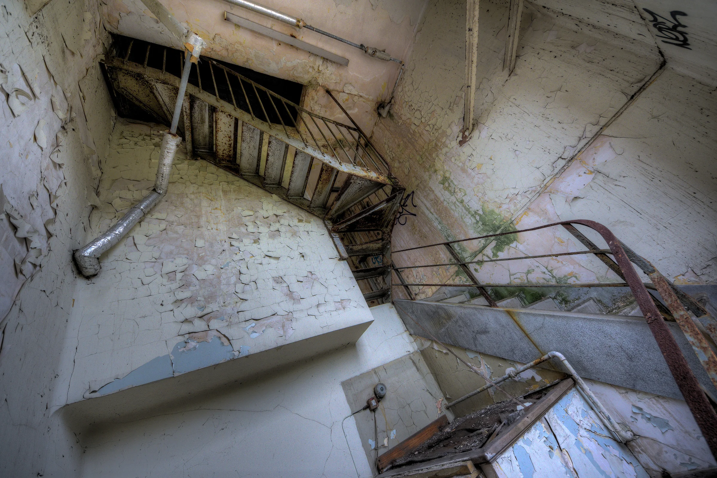 DSC_0447_8_9Enhancer.jpg