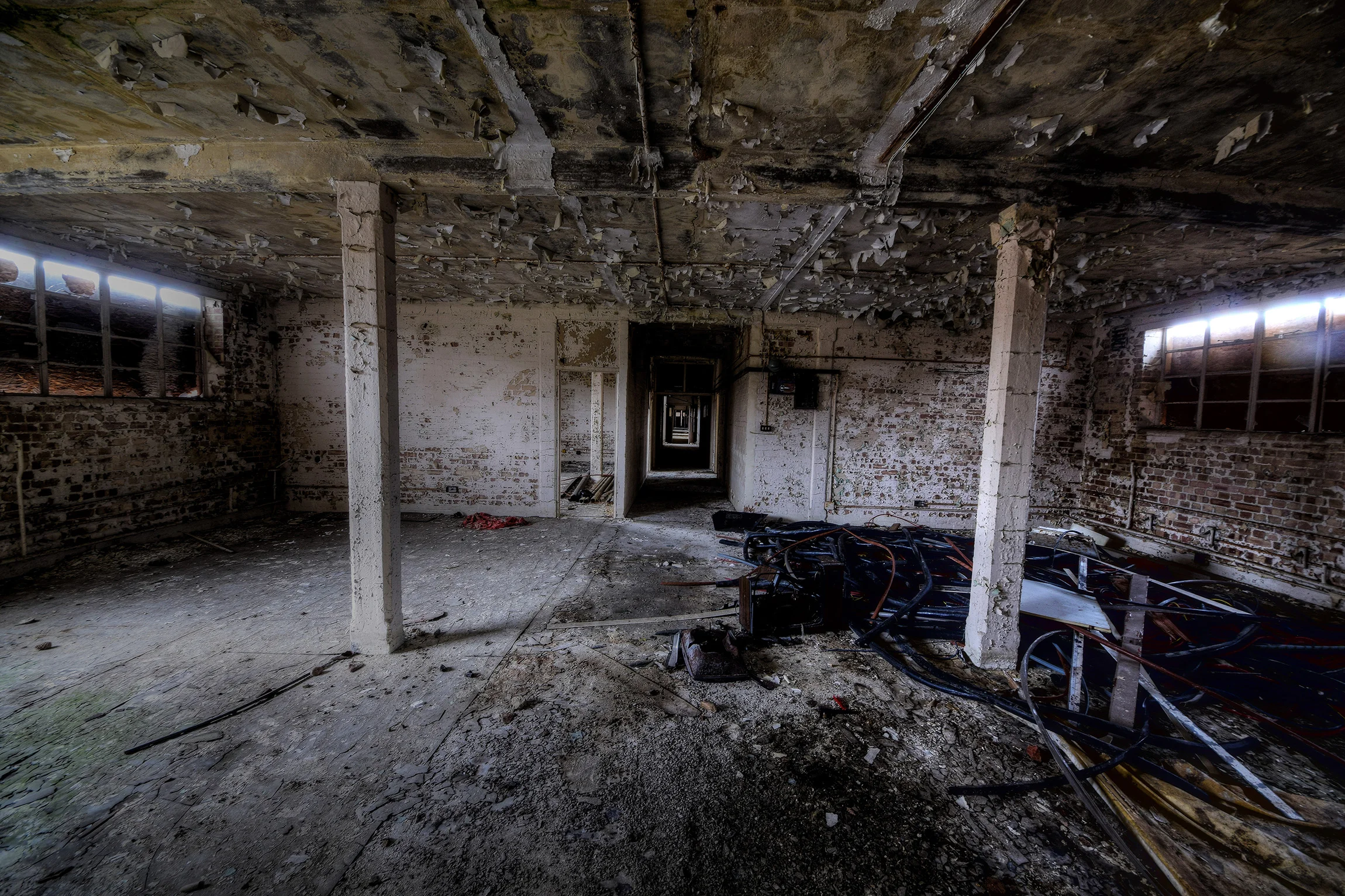 DSC_2322_Enhancer.jpg
