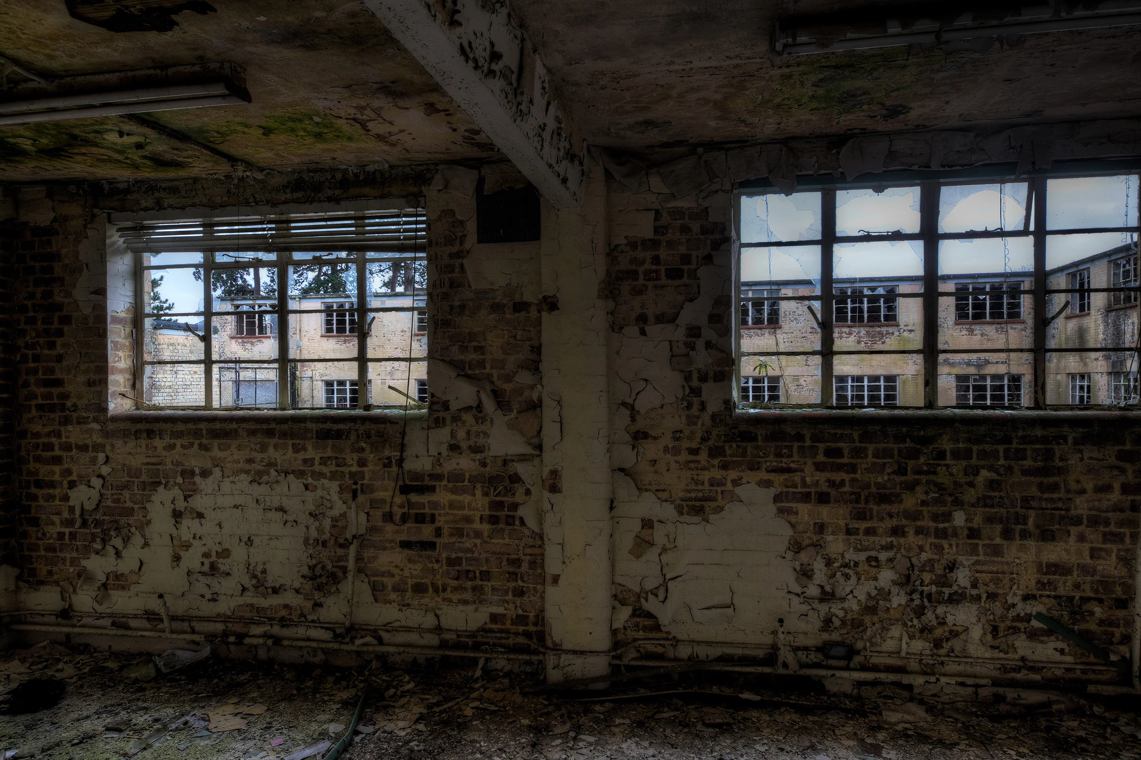 DSC_2331_2_3Enhancer.jpg