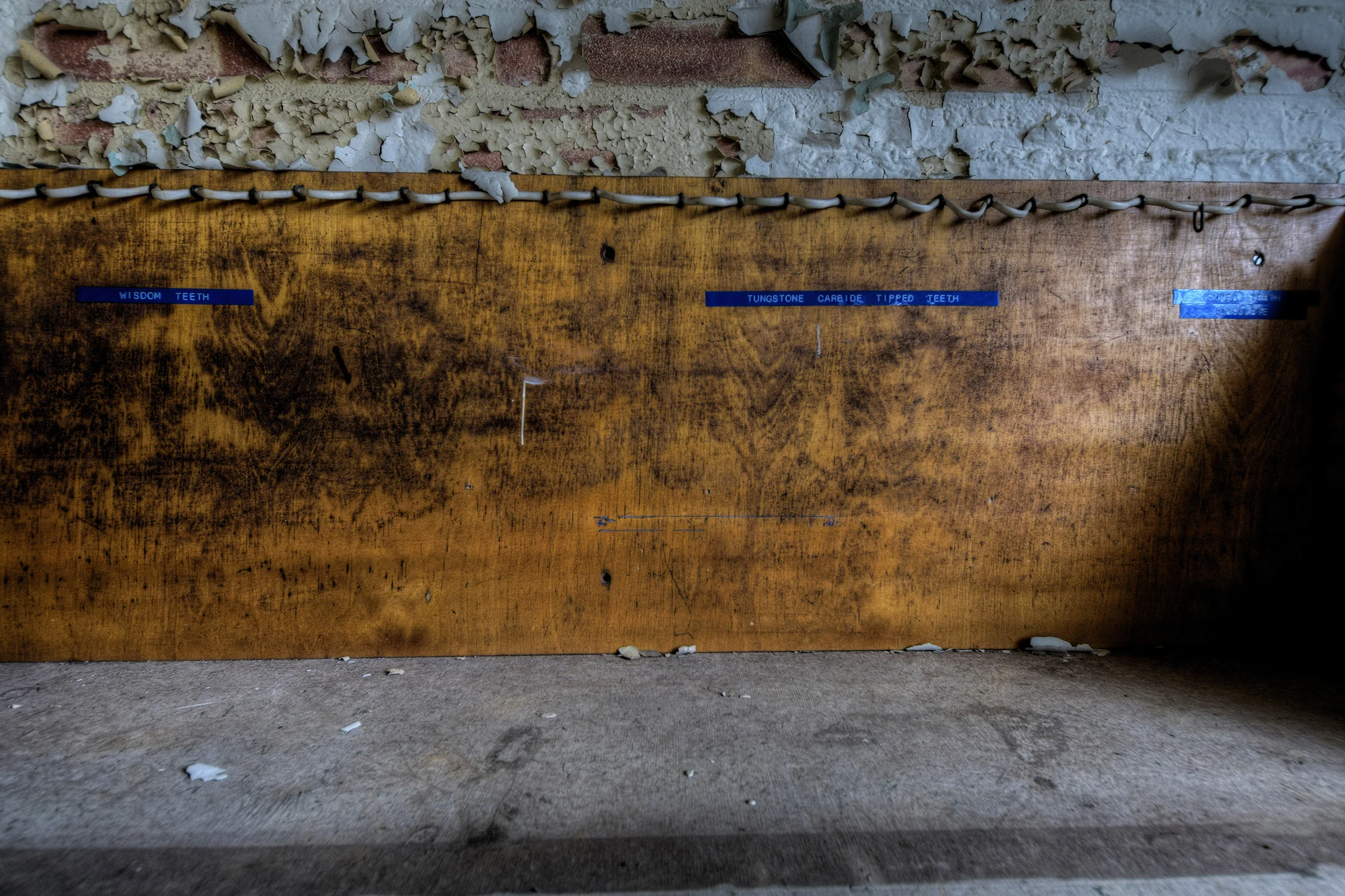 DSC_2334_5Enhancer.jpg