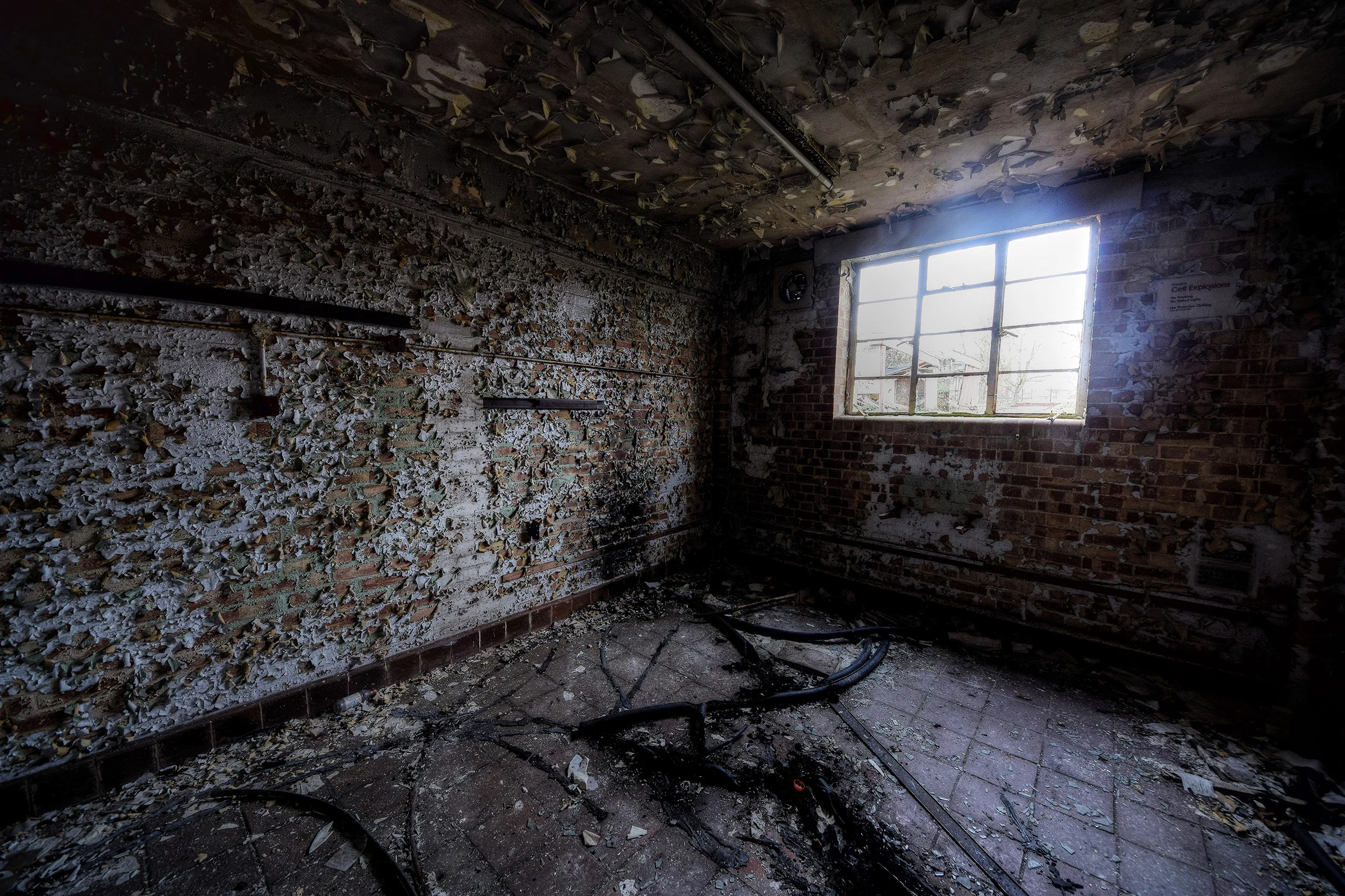 DSC_2337_Enhancer.jpg