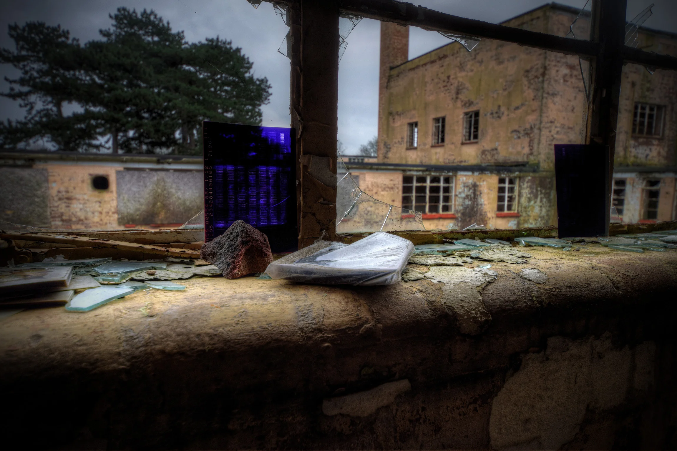 DSC_2373_4_5Enhancer.jpg