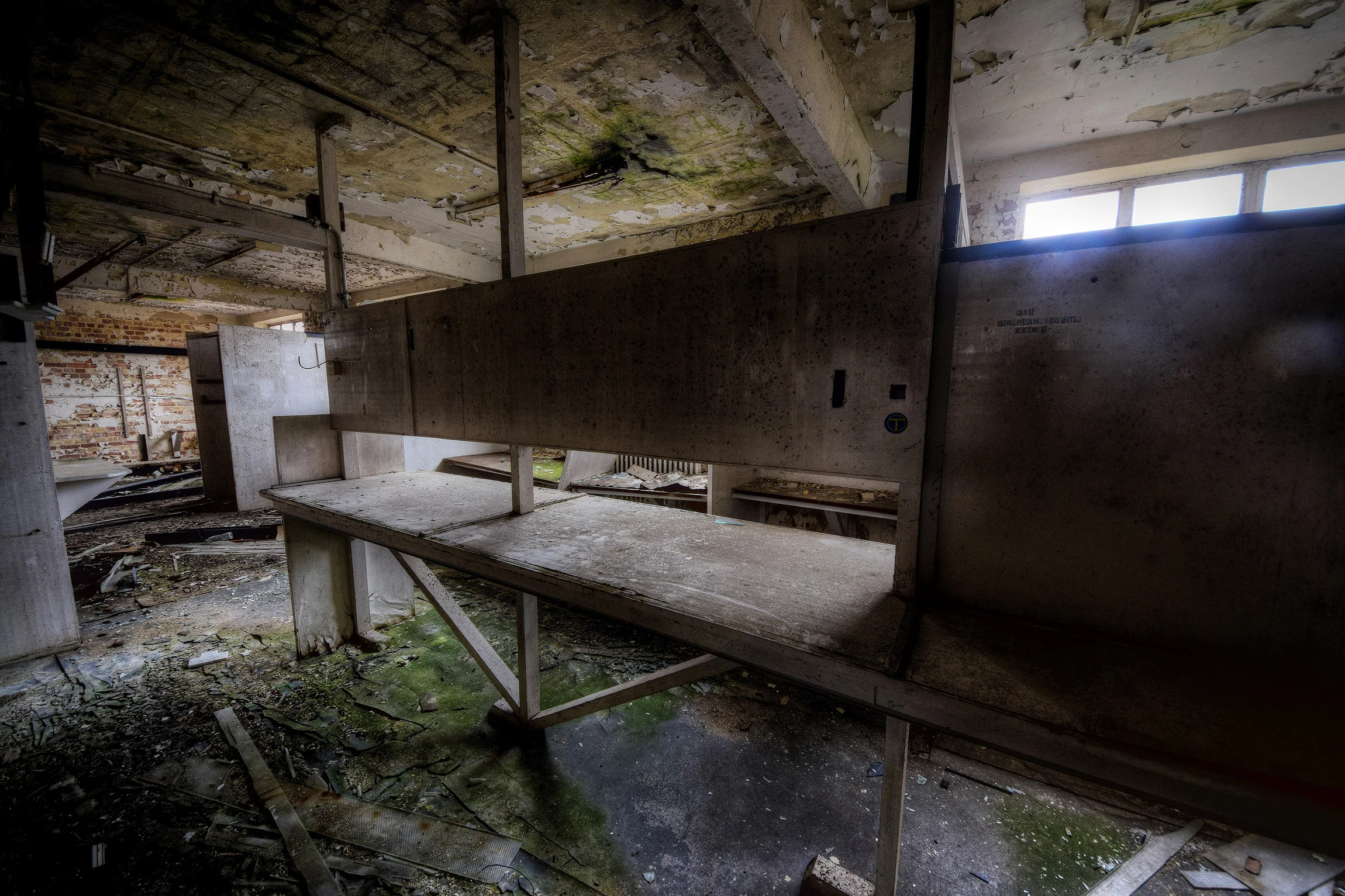 DSC_2397_Enhancer.jpg