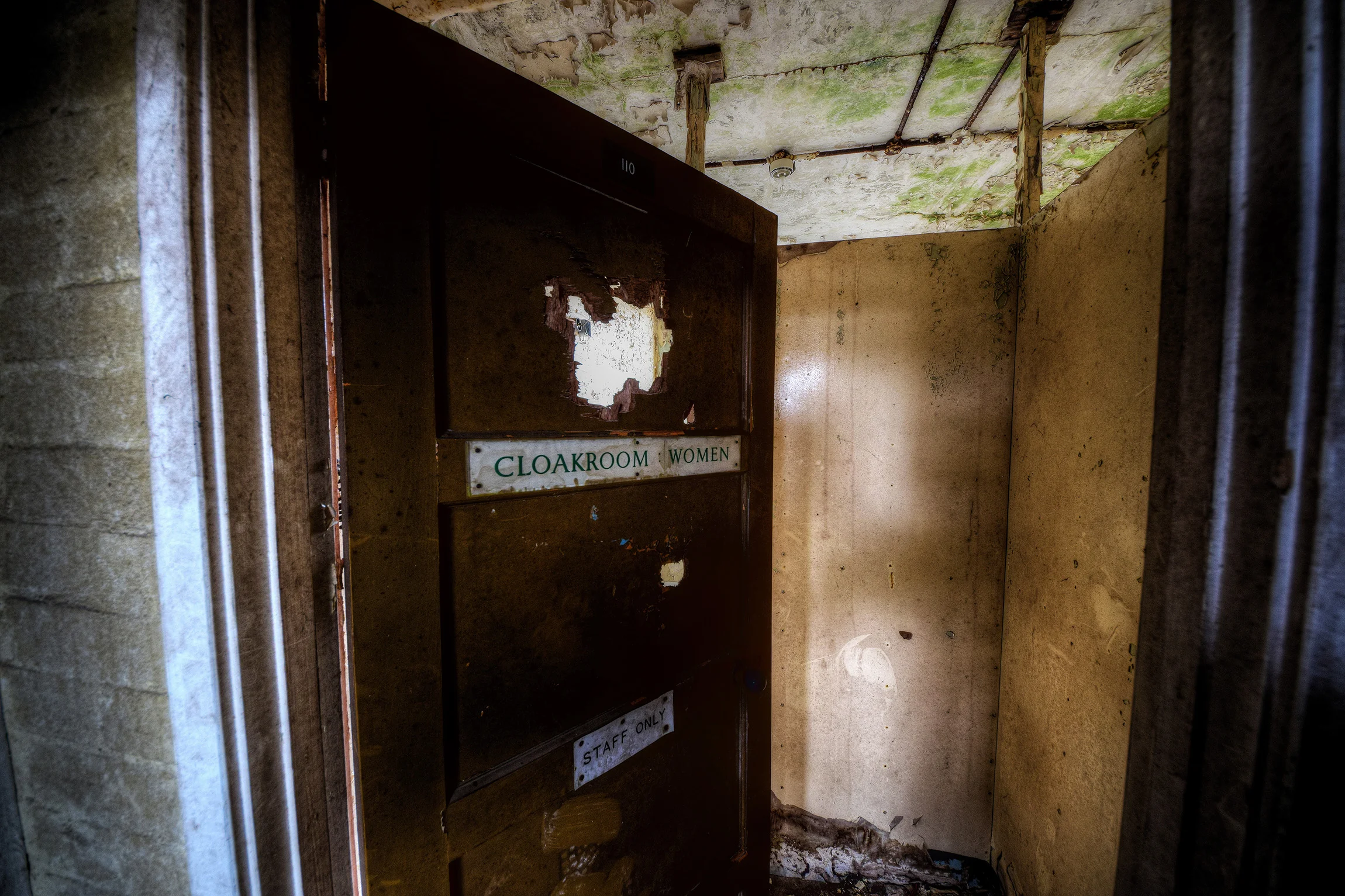 DSC_2403_Enhancer.jpg