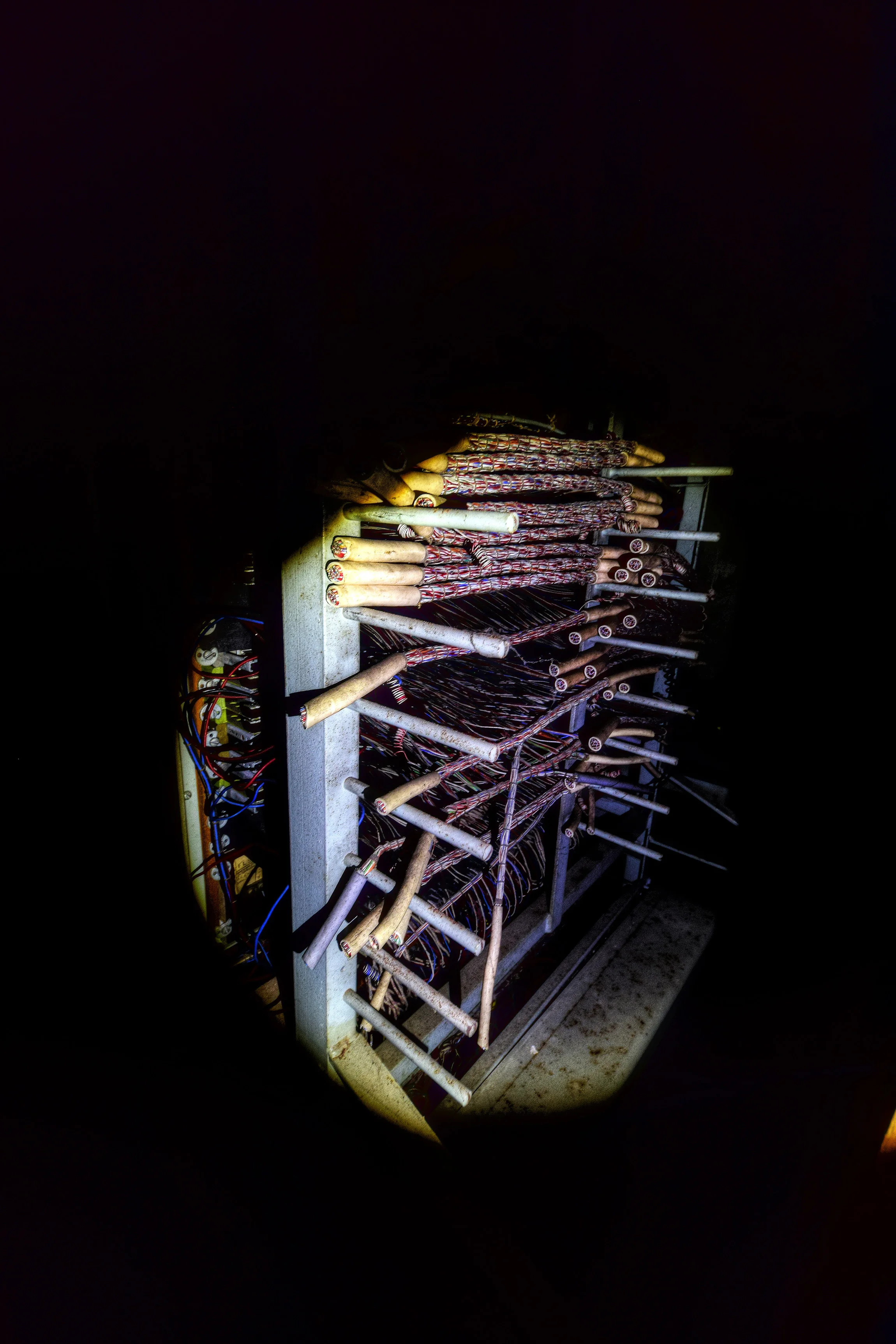 DSC_2437_Enhancer.jpg