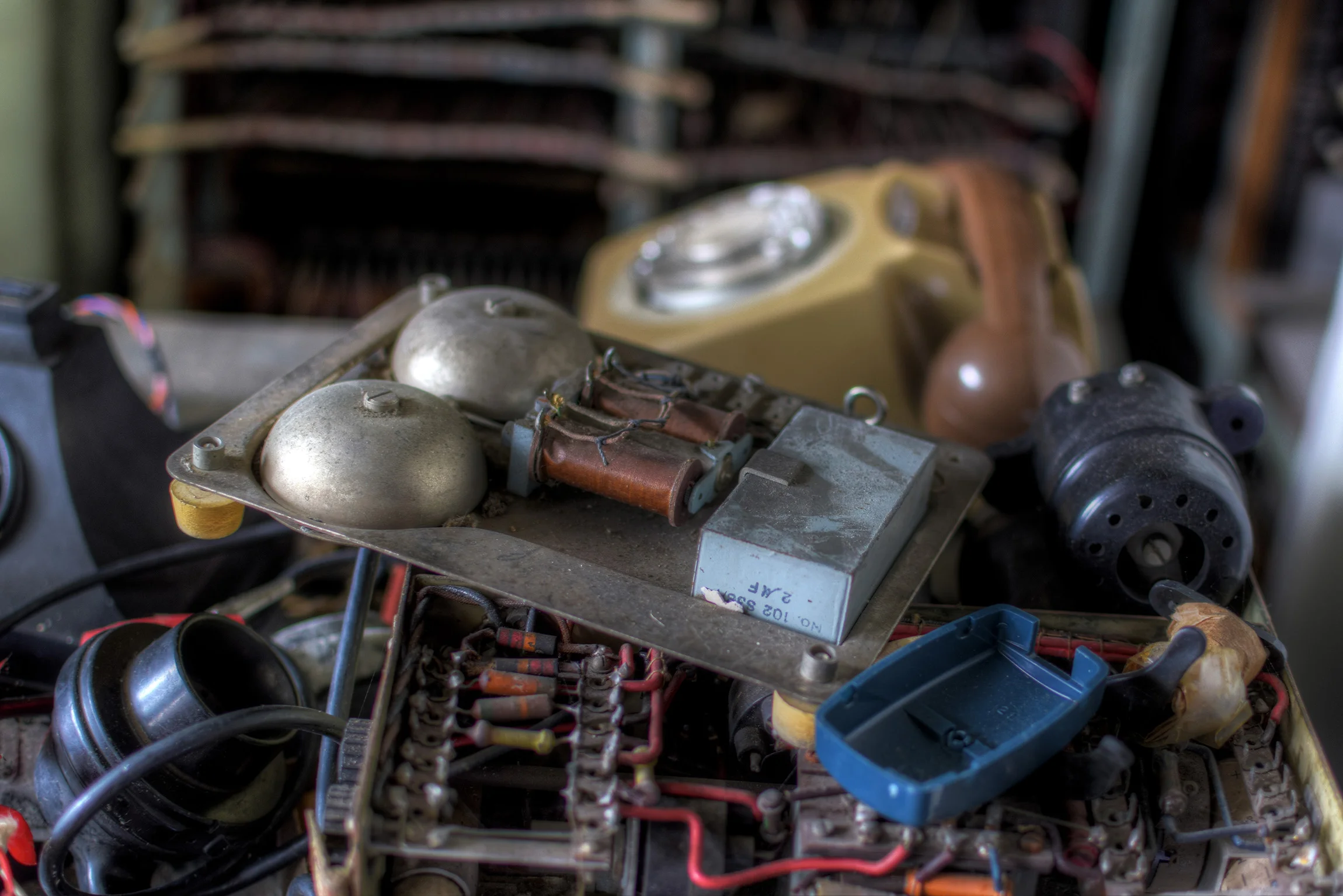 DSC_2451_2_3Enhancer.jpg
