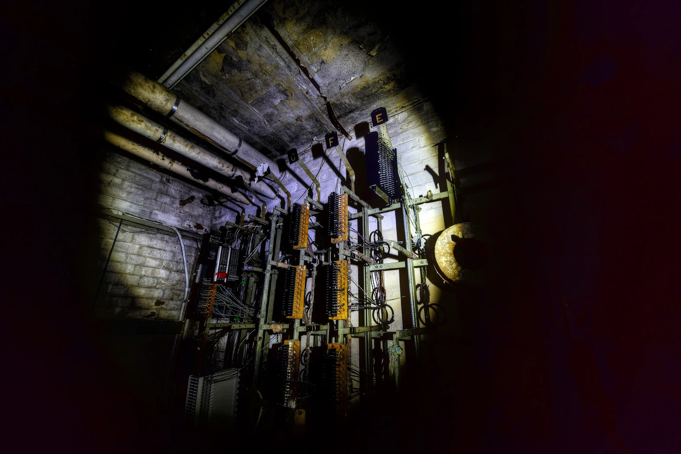 DSC_2458_Enhancer.jpg