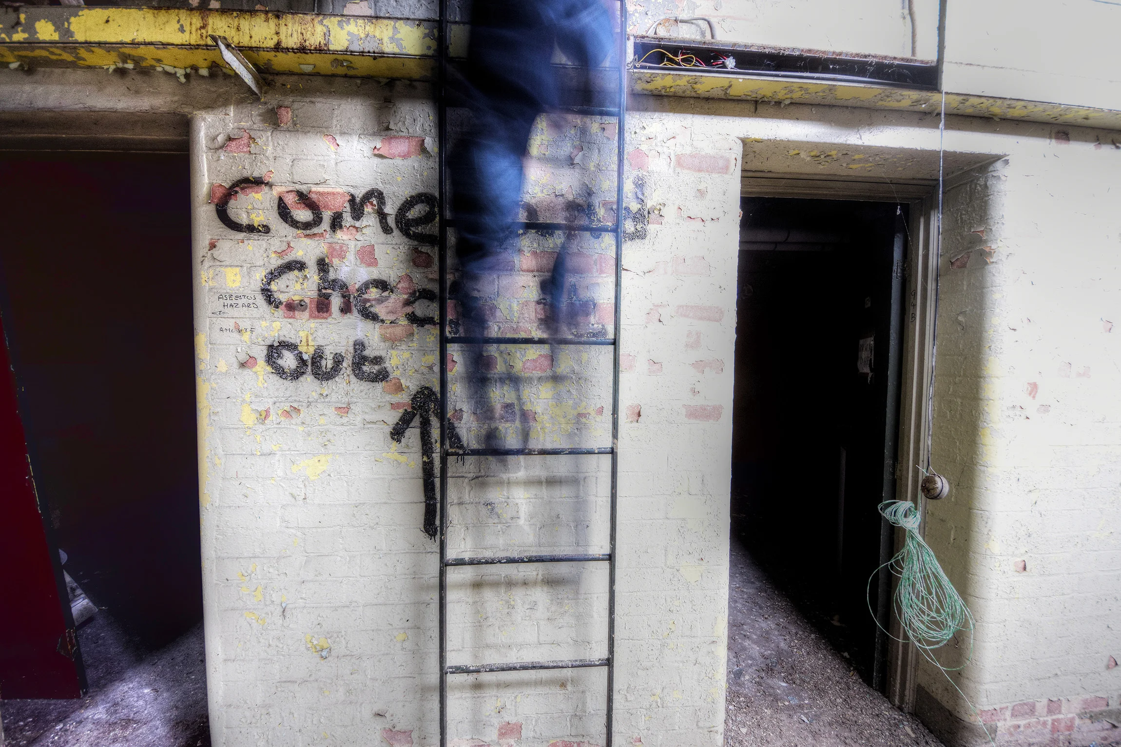 DSC_2564_Enhancer.jpg
