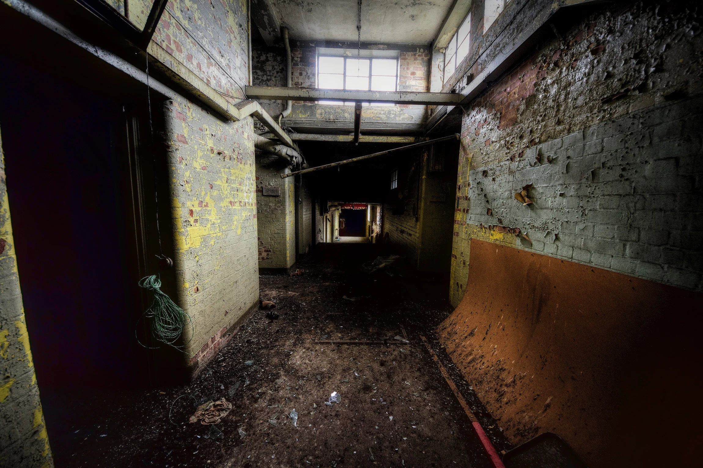 DSC_2571_Enhancer.jpg