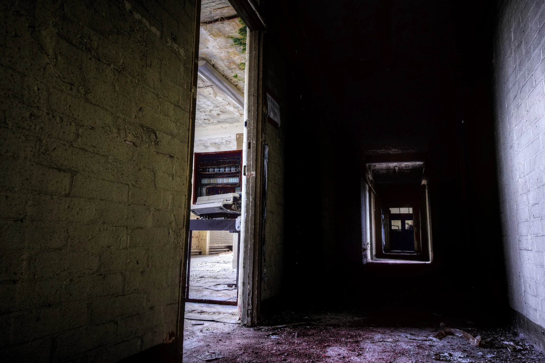 DSC_2577_Enhancer.jpg