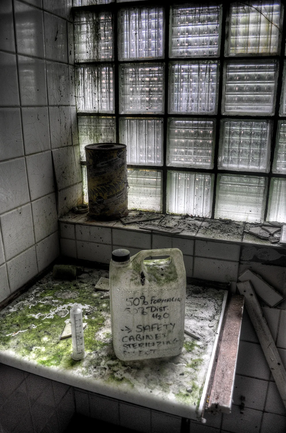 BBAnimalRemaster0047.jpg