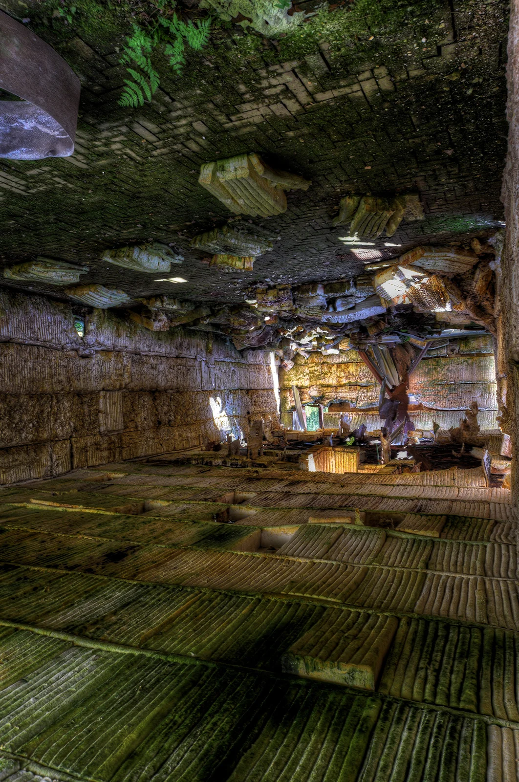 DSC_0961_2_3Enhancer.jpg