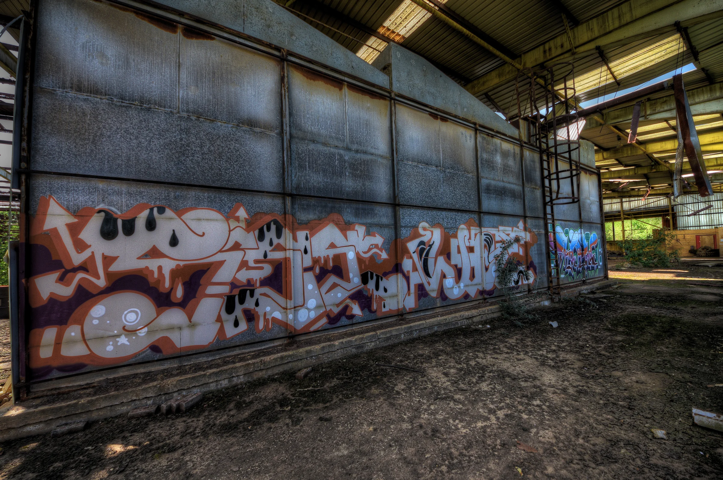 DSC_0973_4_5Enhancer.jpg