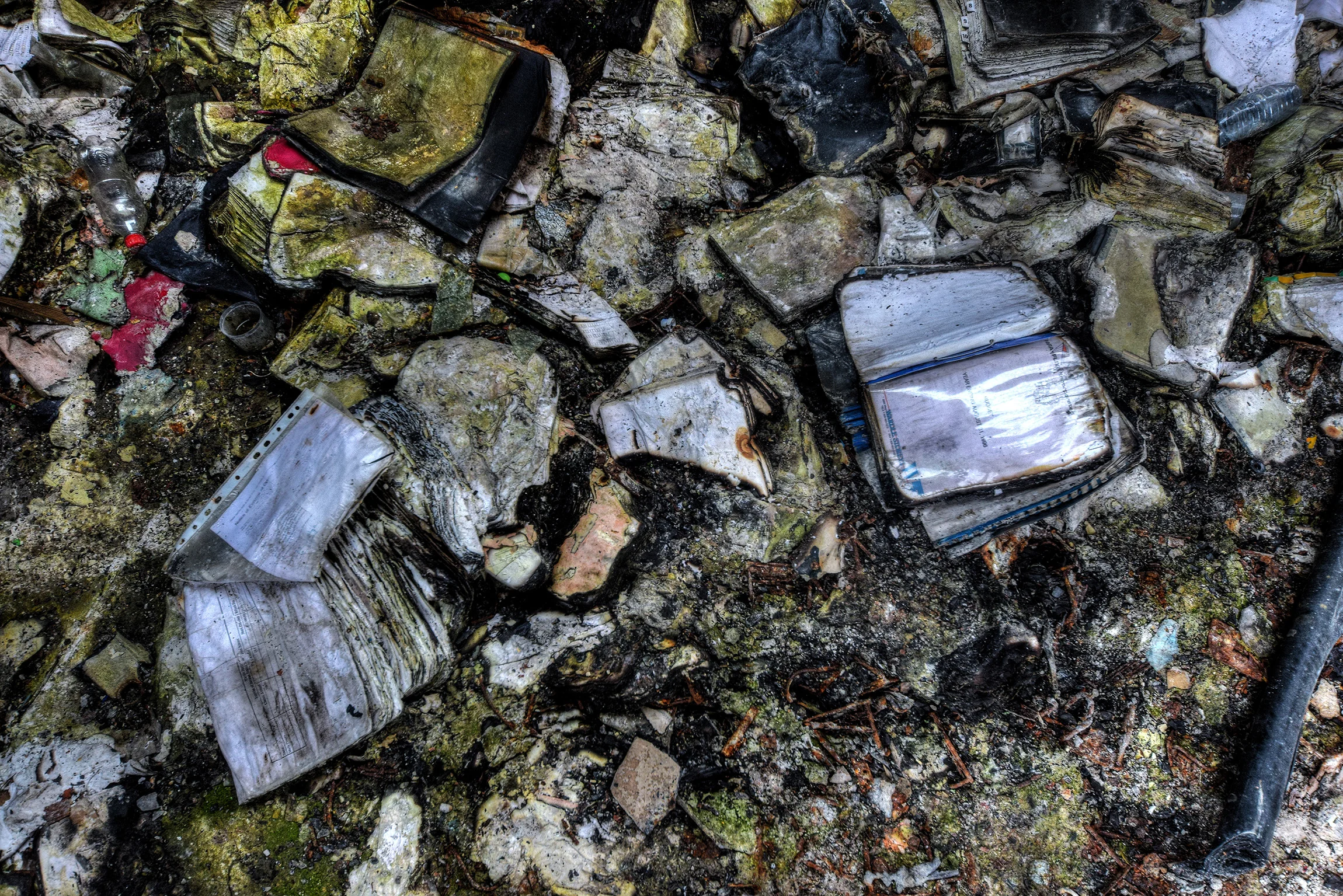 DSC_0451_2.jpg