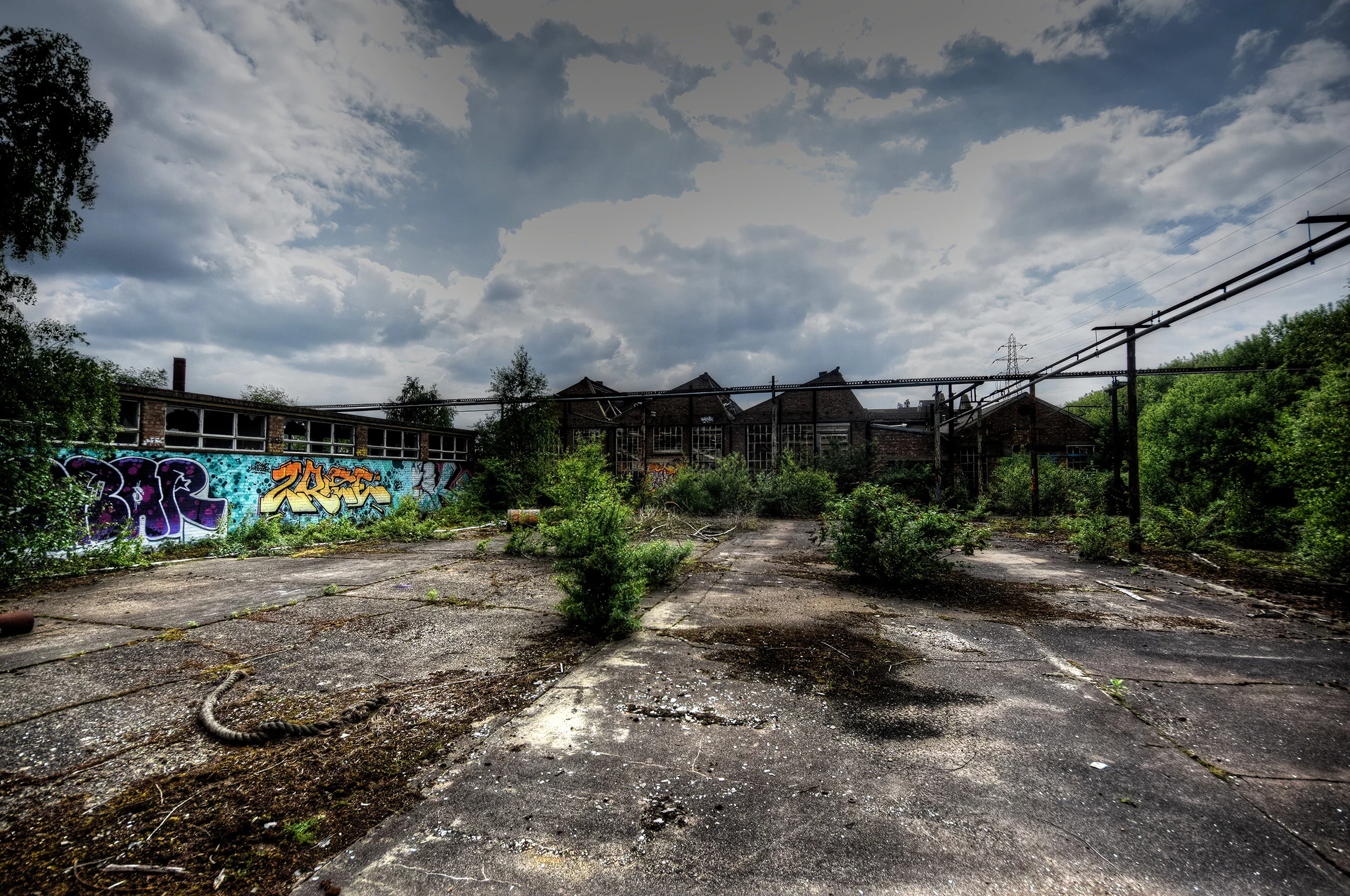 DSC_0565_6.jpg
