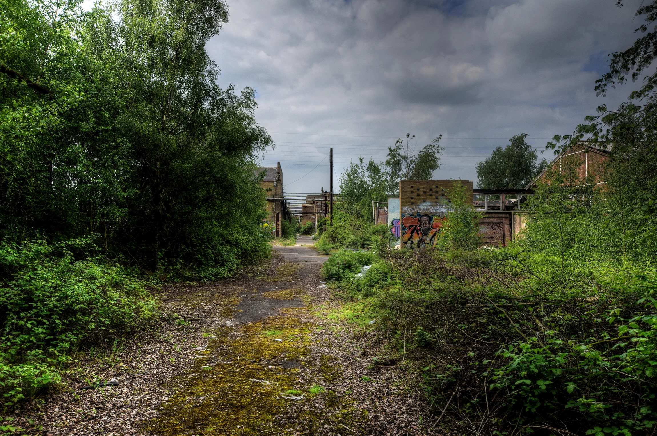 DSC_0634_5.jpg