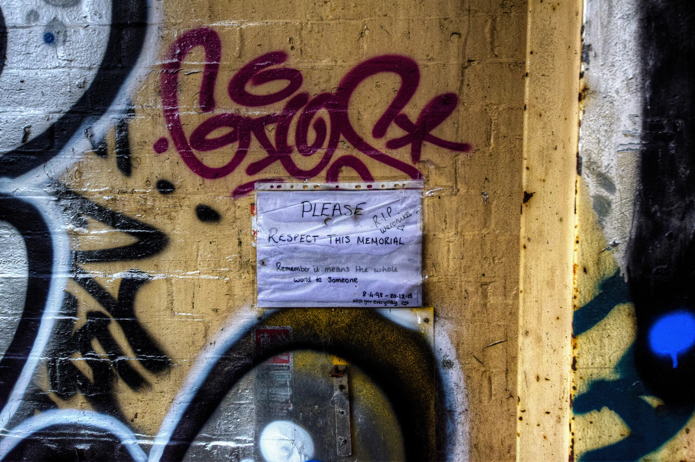 DSC_0635_6.jpg