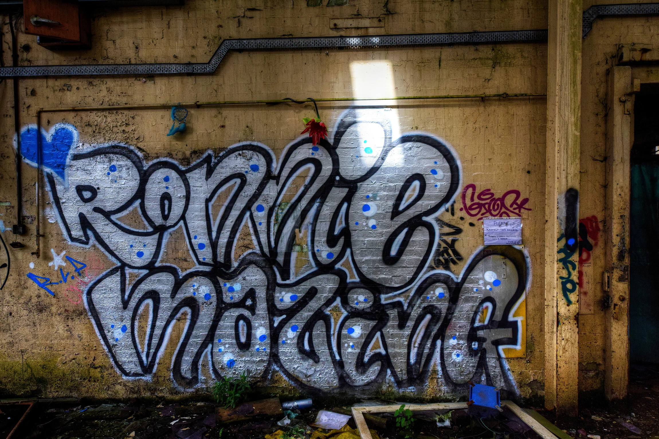 DSC_0641.jpg