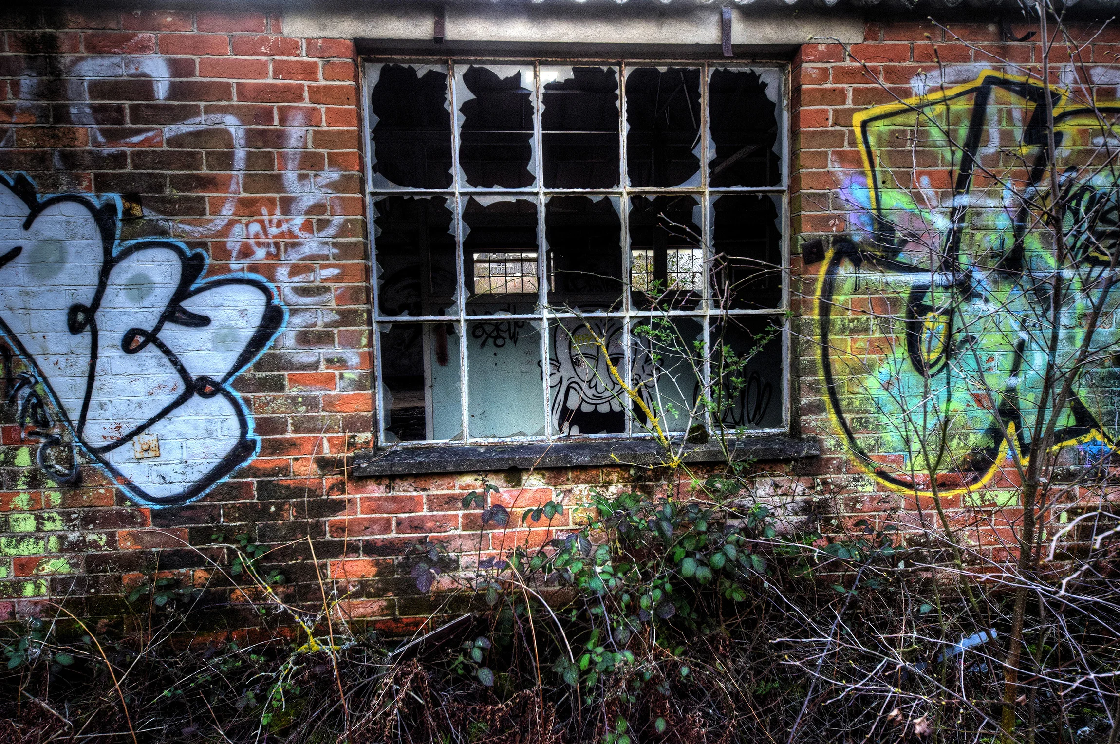 DSC_0716_7.jpg