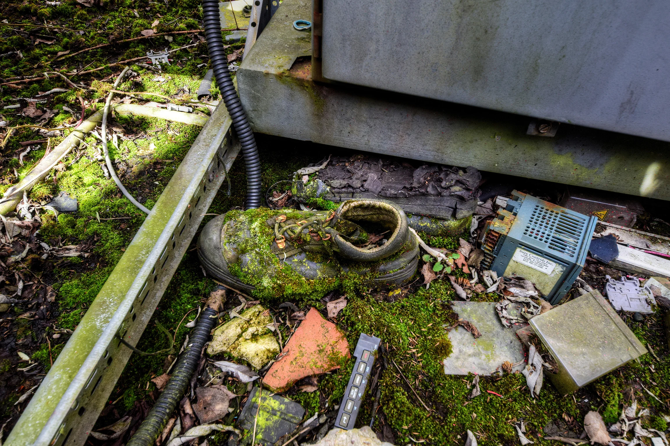 DSC_0824.jpg