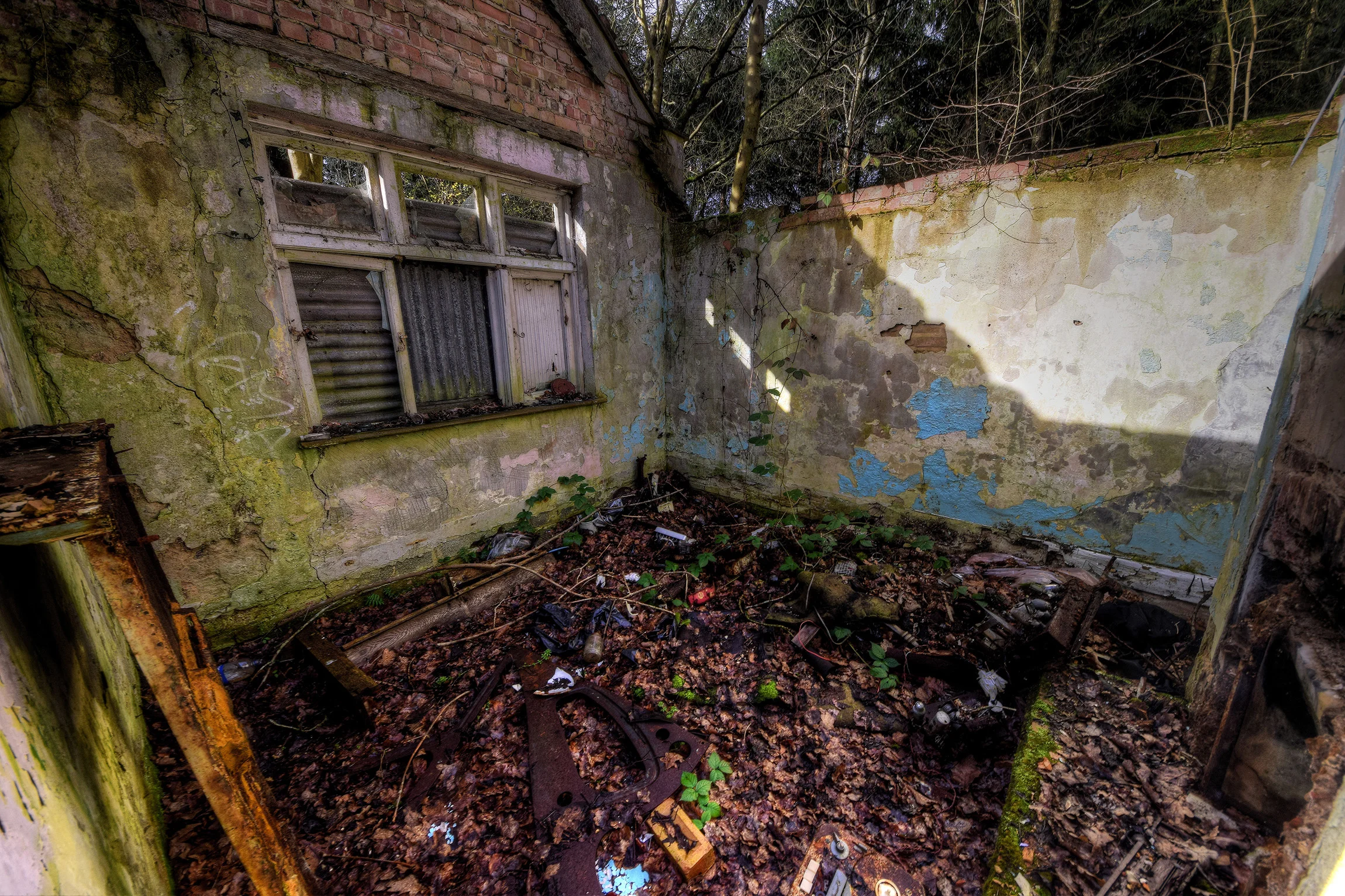 DSC_3068_9Enhancer.jpg