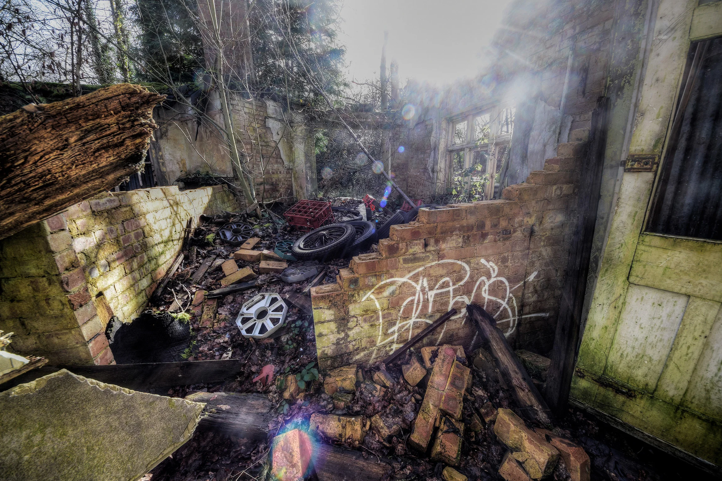 DSC_3071_Enhancer.jpg