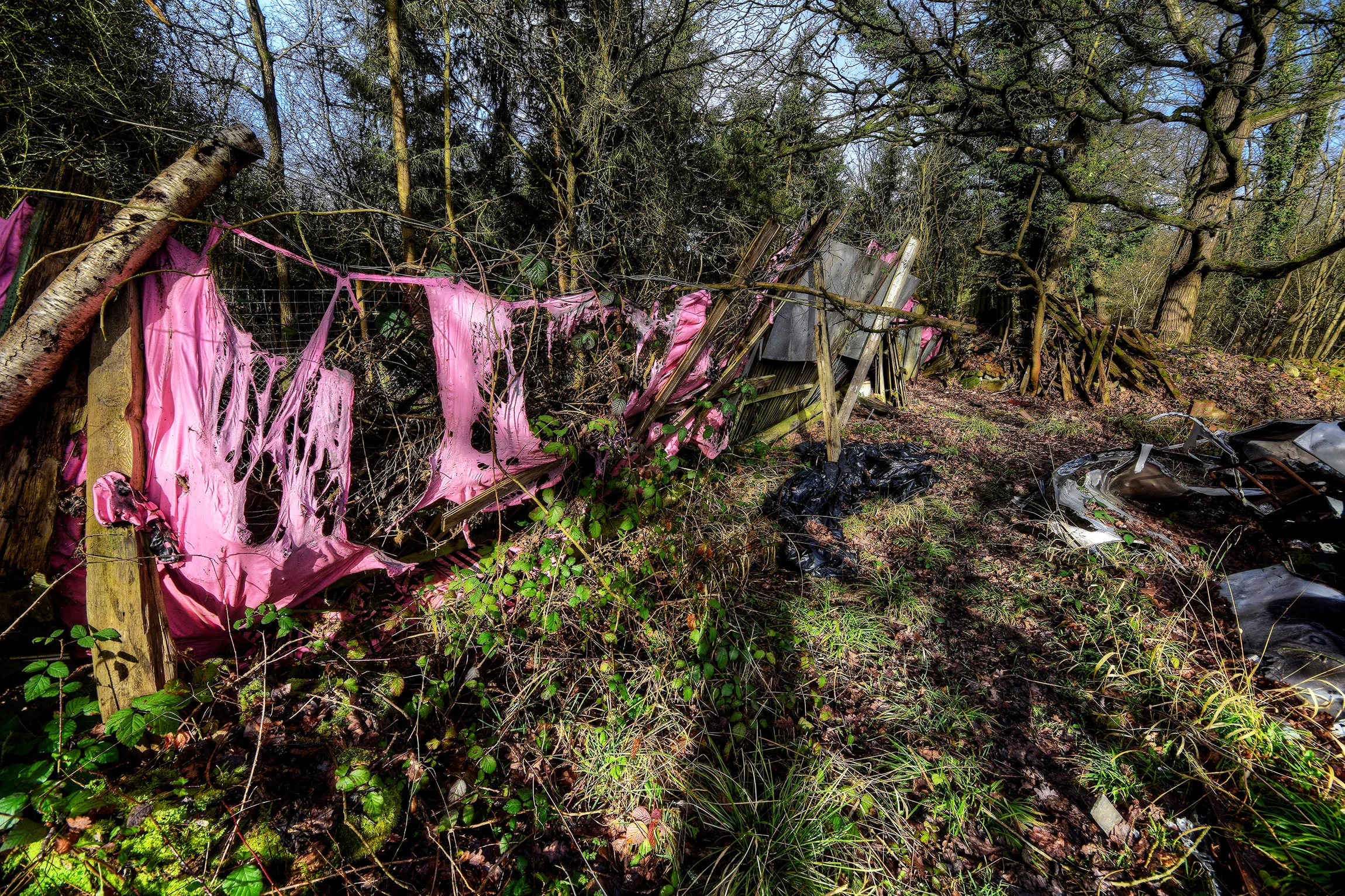 DSC_3140_1Enhancer.jpg