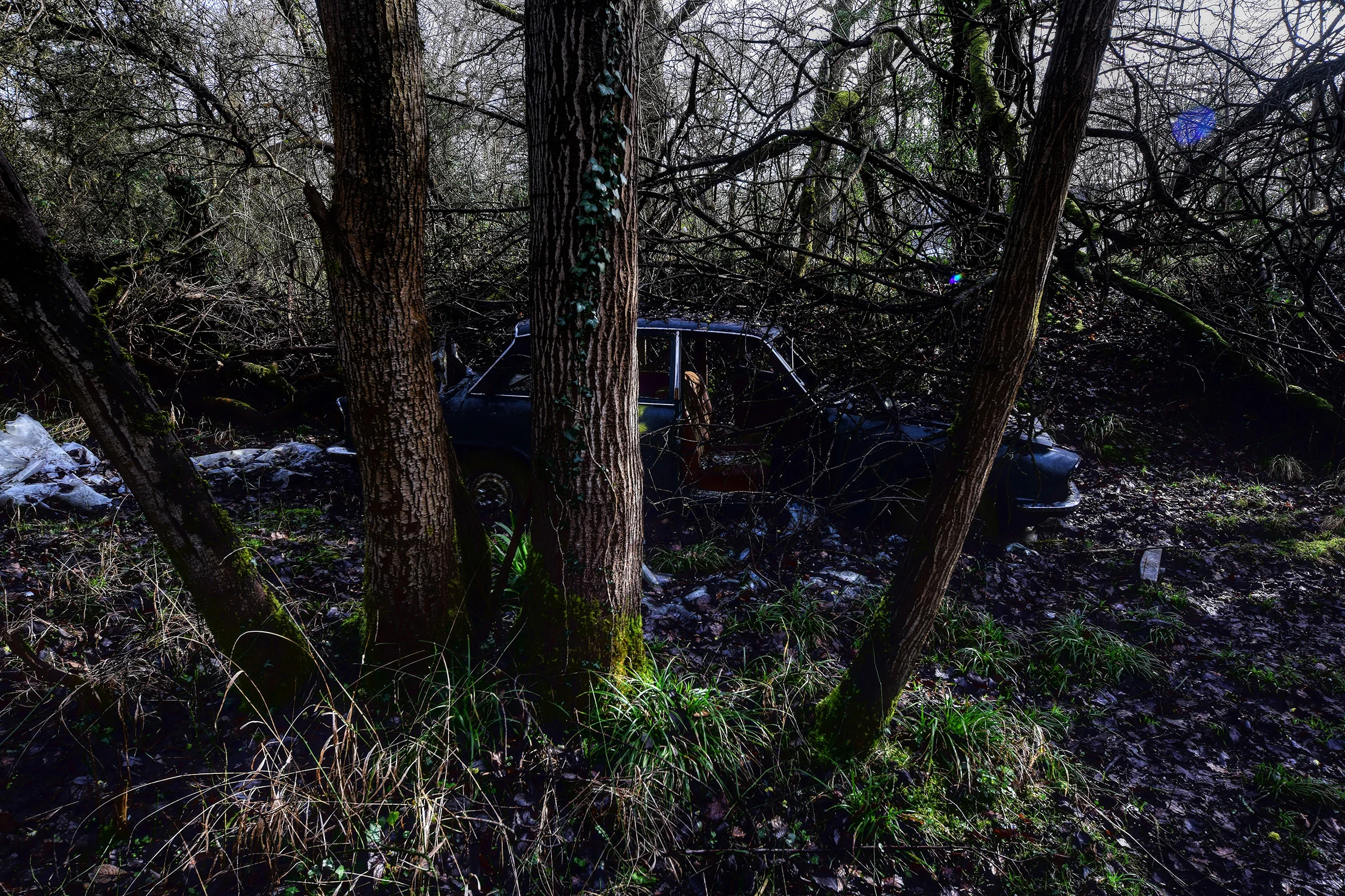 DSC_3162_Enhancer.jpg