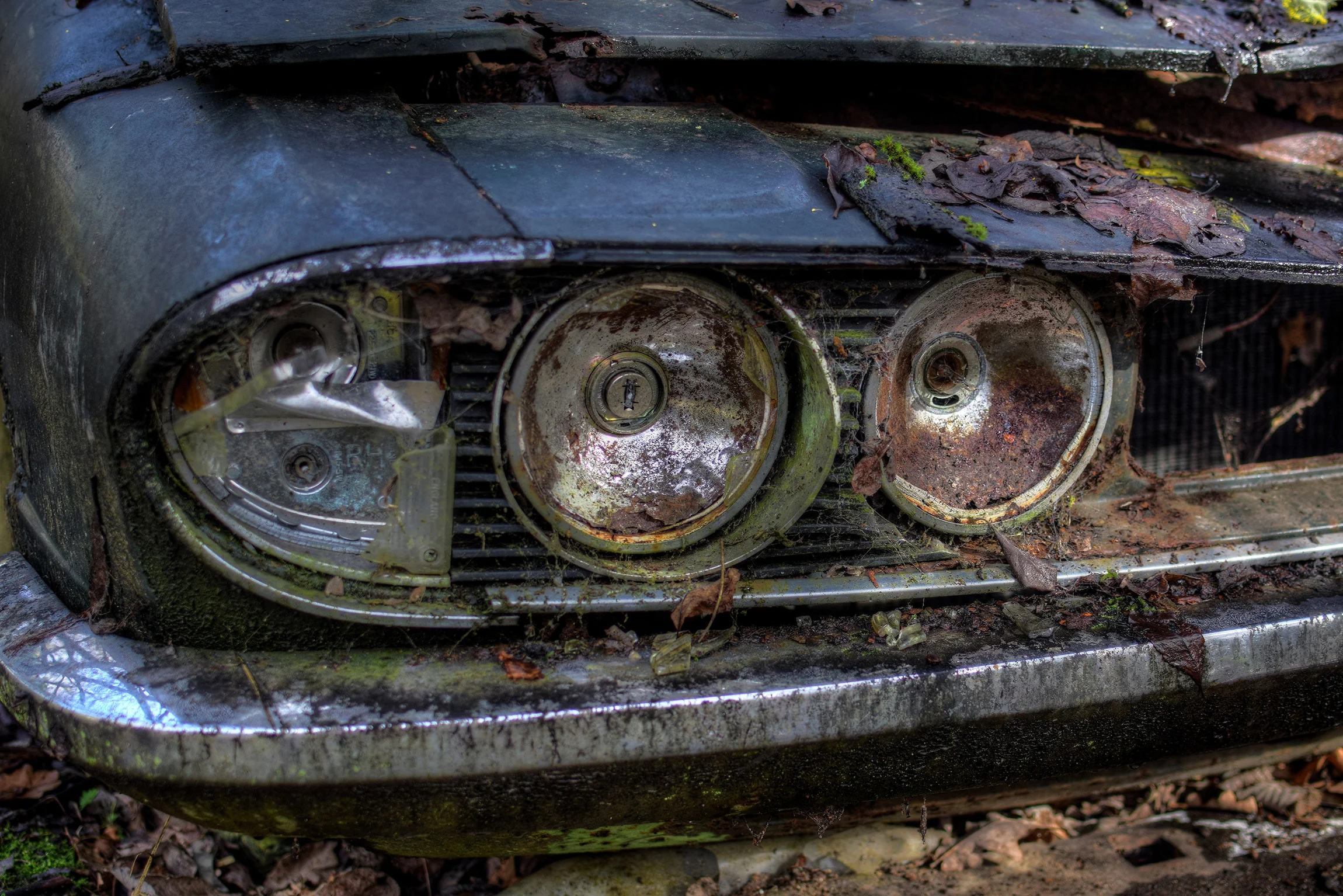 DSC_3173_4Enhancer.jpg