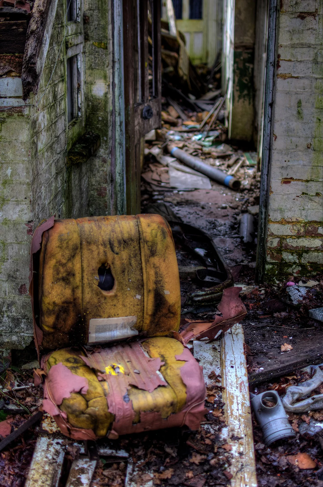 DSC_3218_9Enhancer.jpg