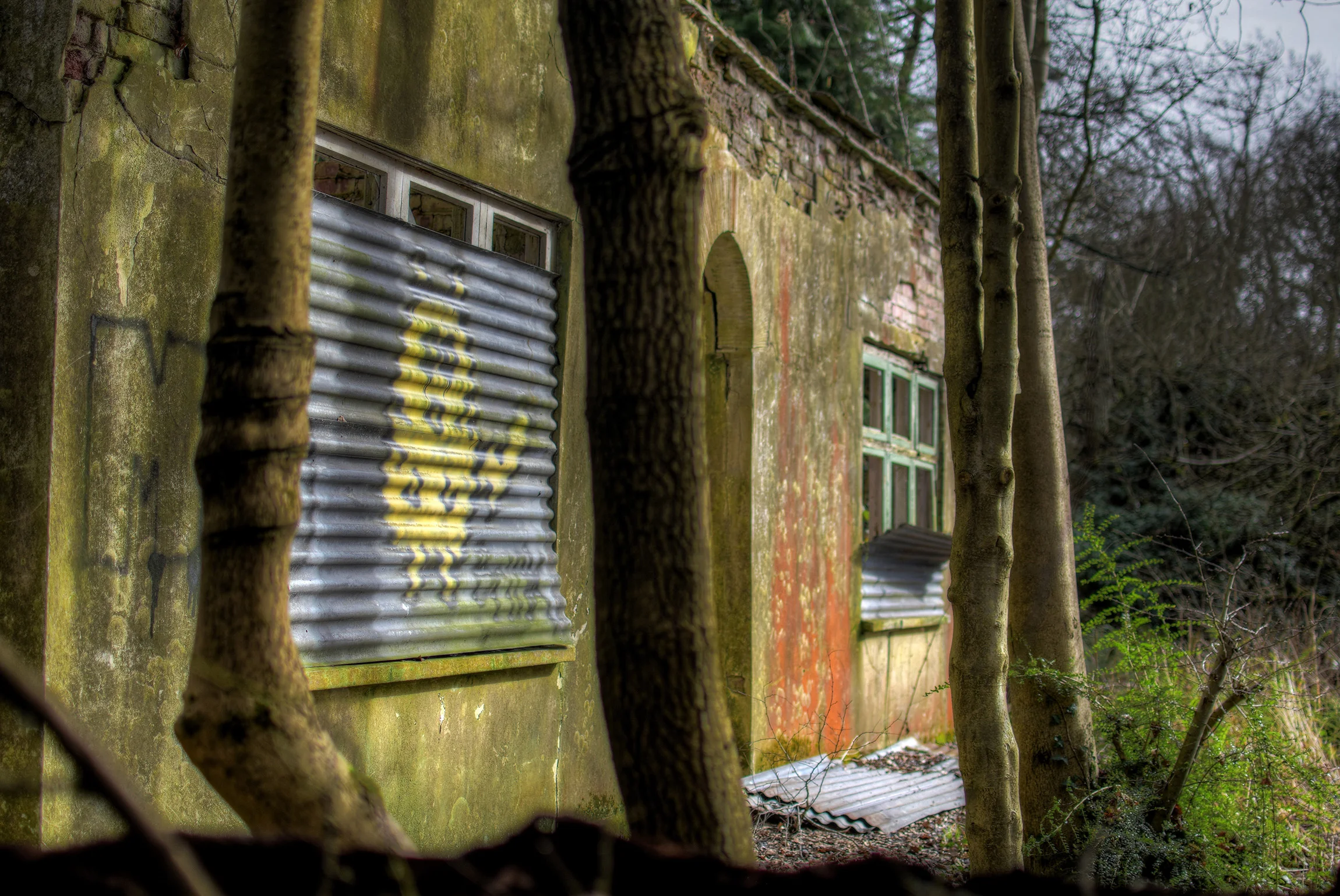 DSC_3233_4_5Enhancer.jpg