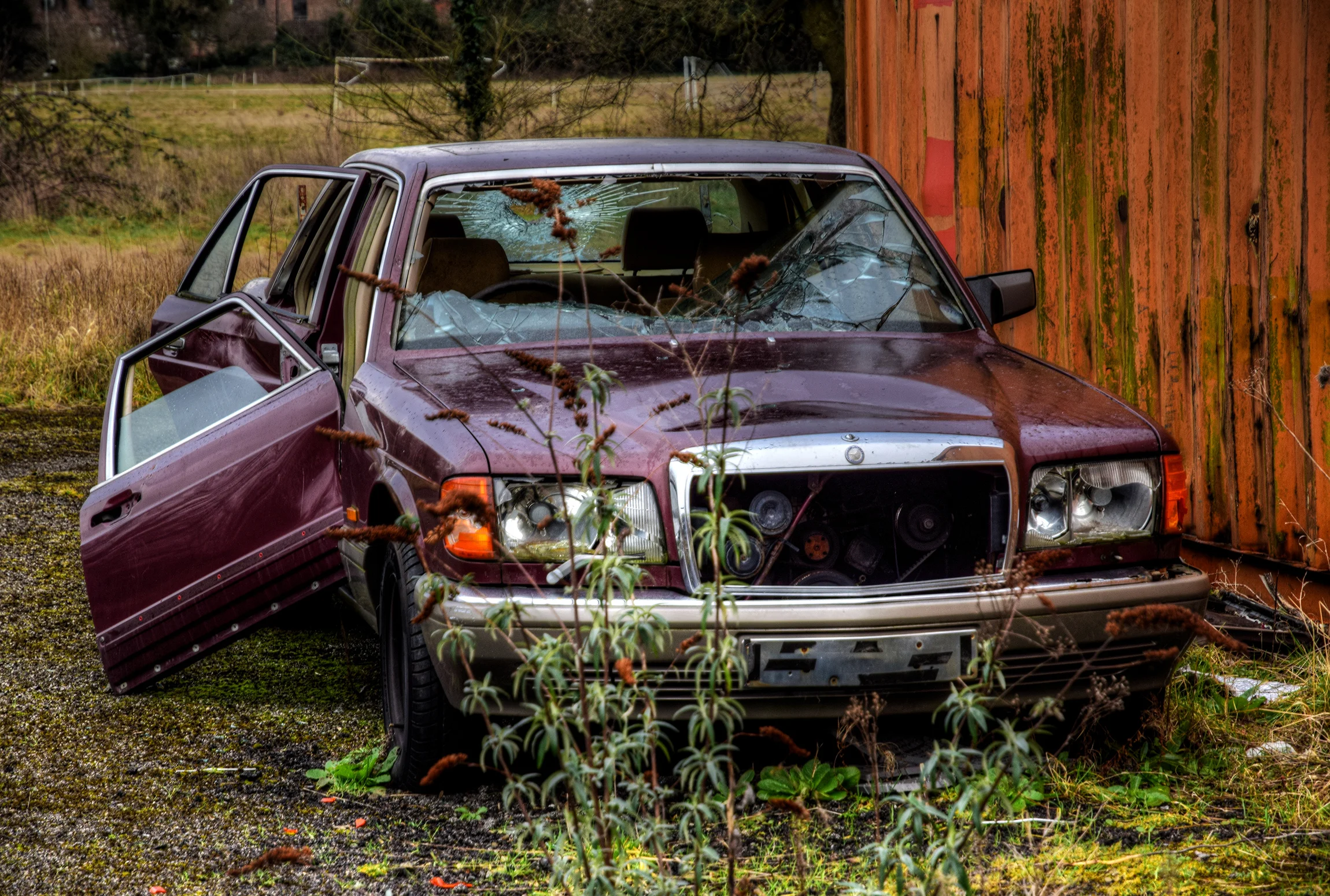 DSC_0916_7.jpg