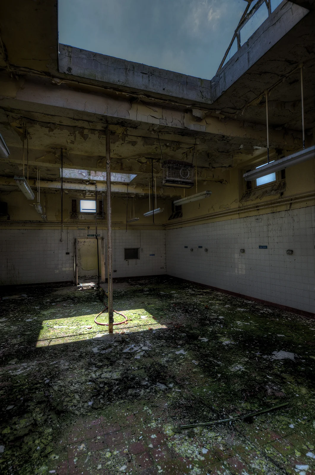 DSC_0853_4_5Enhancer.jpg