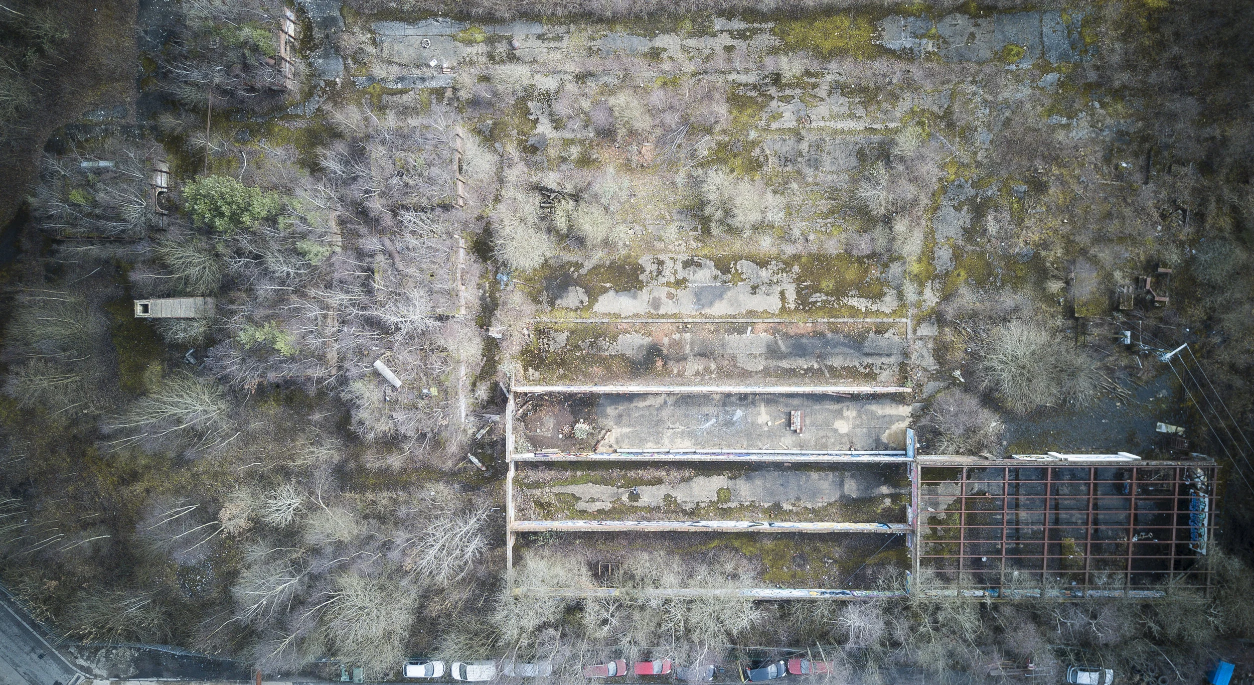 DJI_0874b.jpg