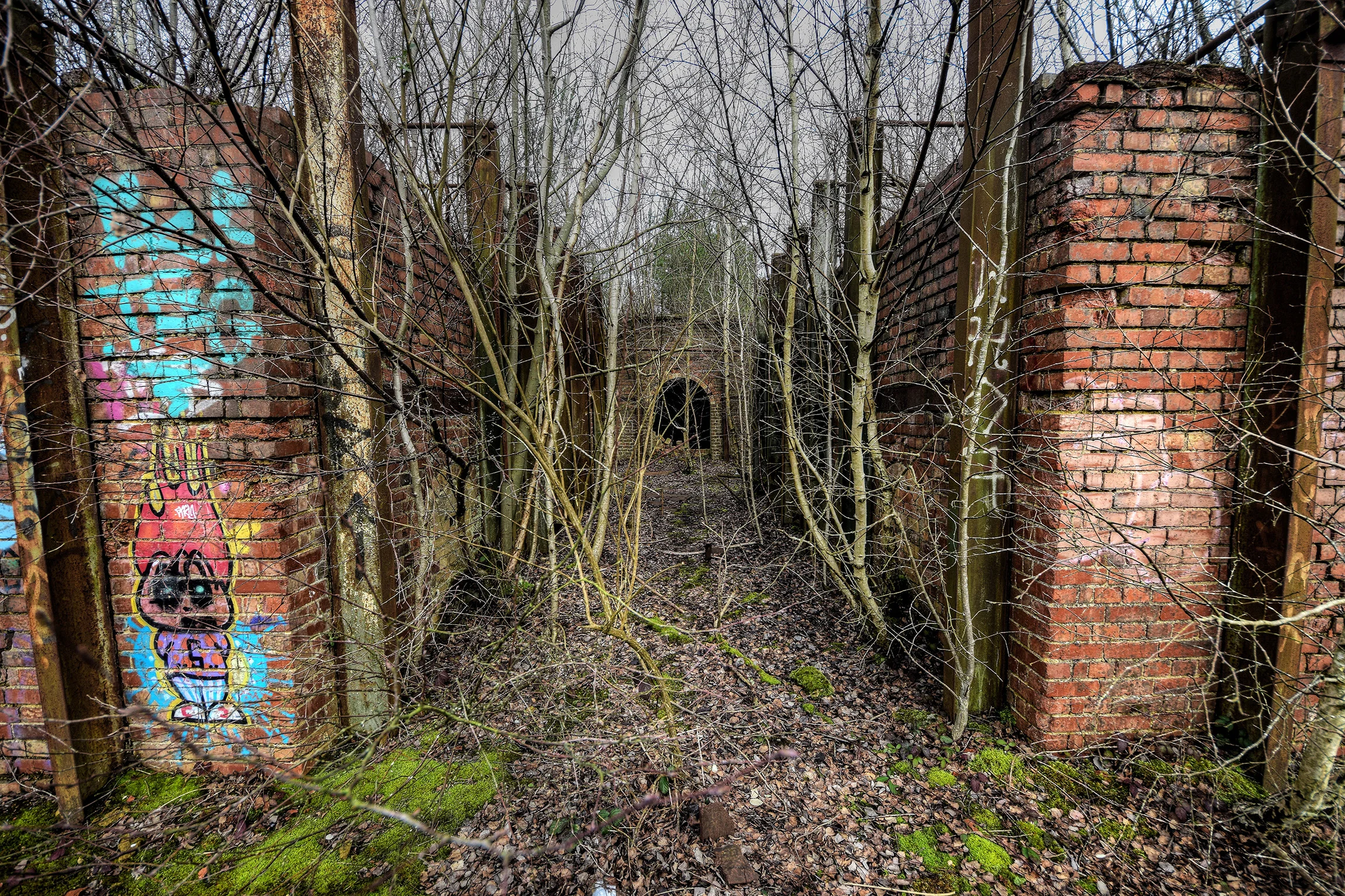 DSC_3245_Enhancer.jpg