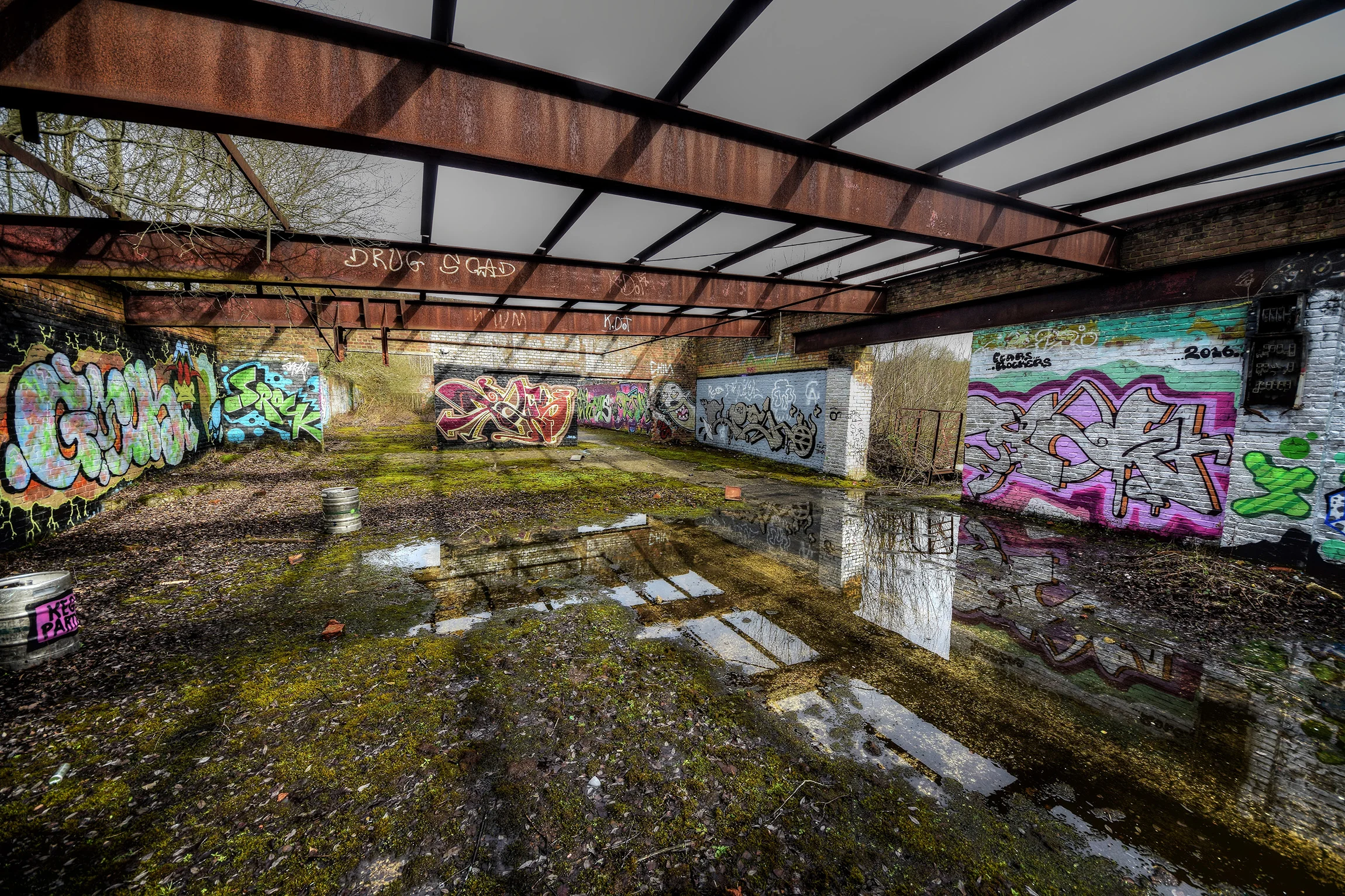 DSC_3269_Enhancer.jpg