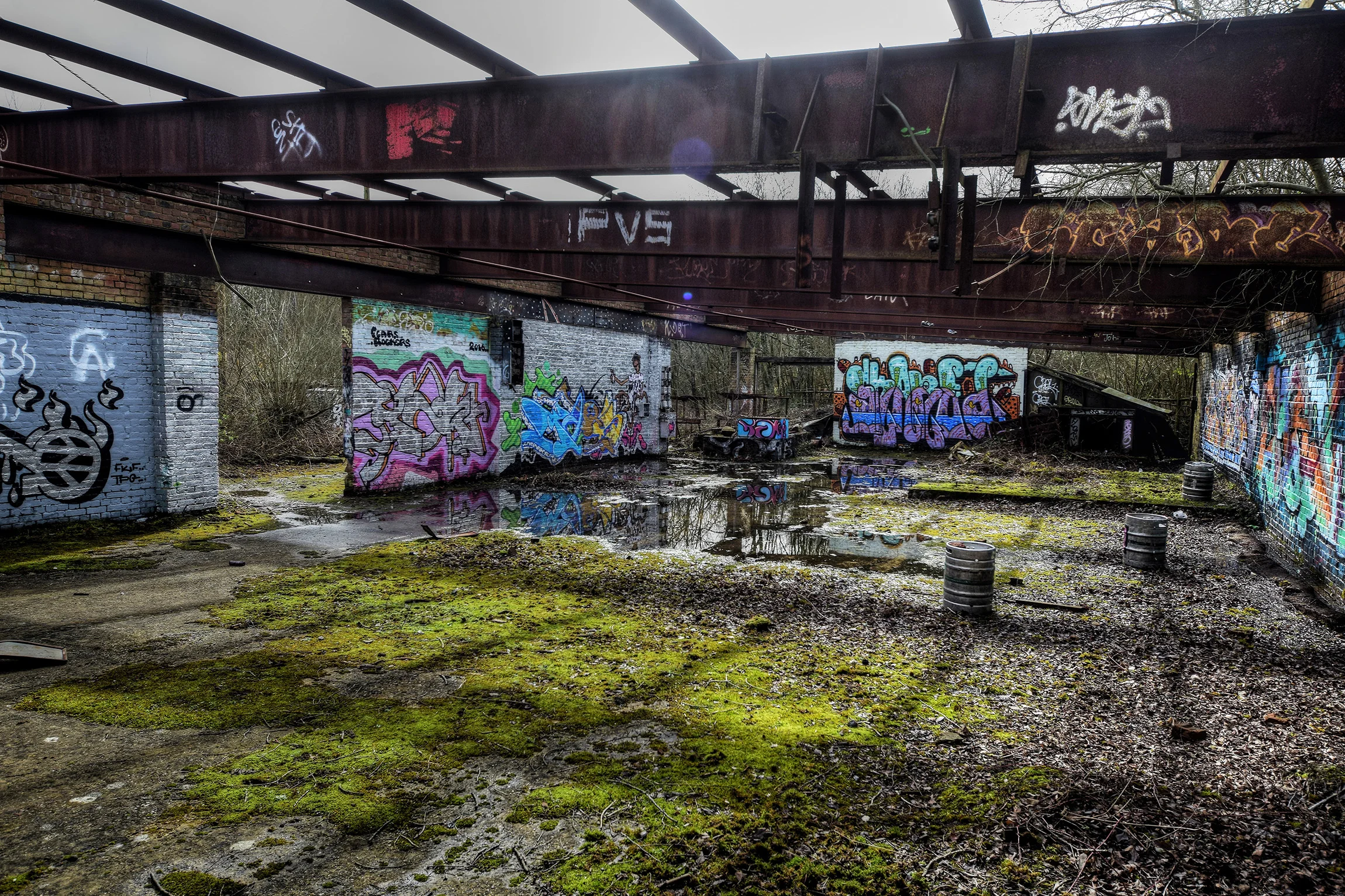 DSC_3275_Enhancer.jpg