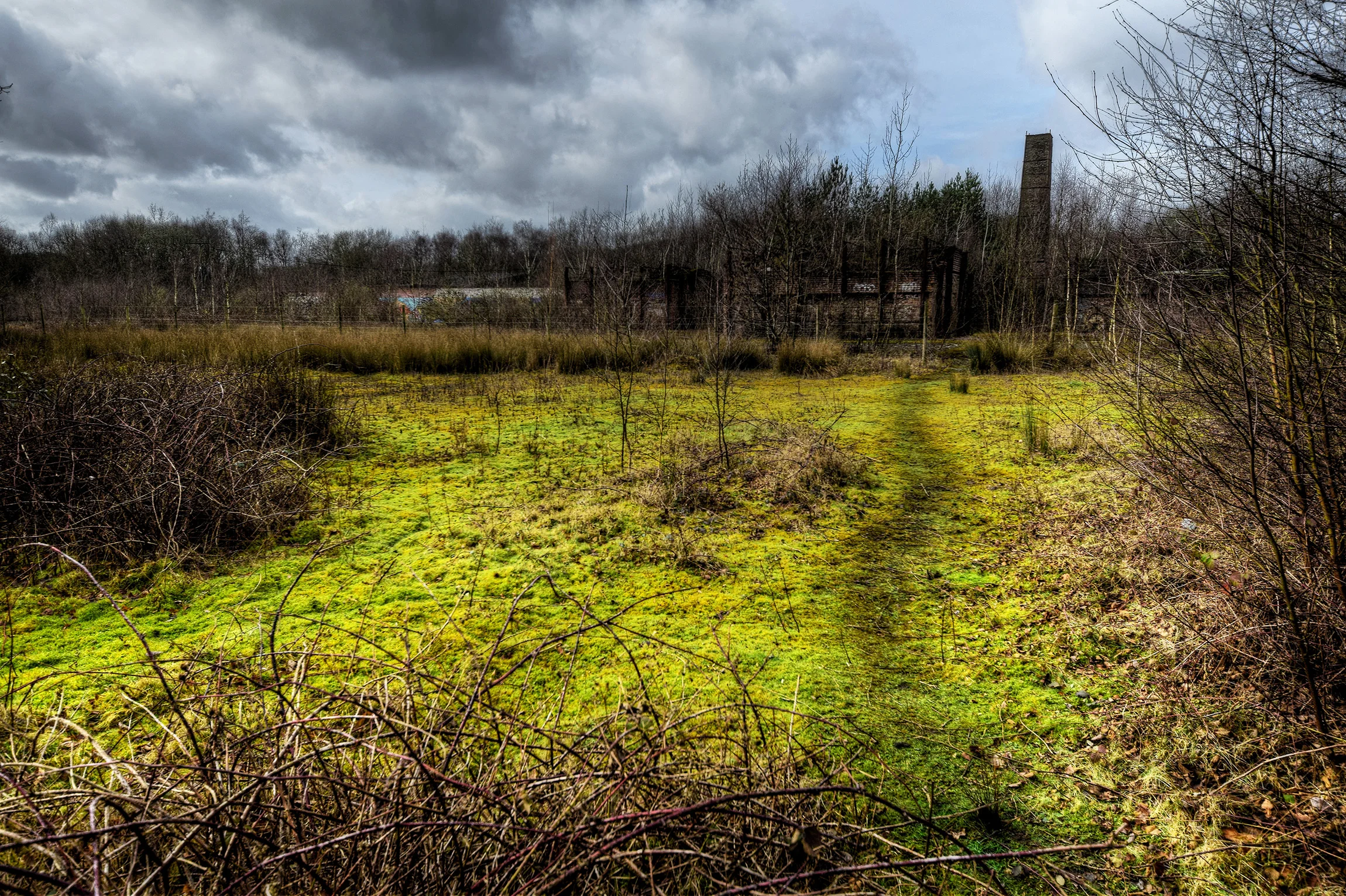 DSC_3308_9Enhancer.jpg
