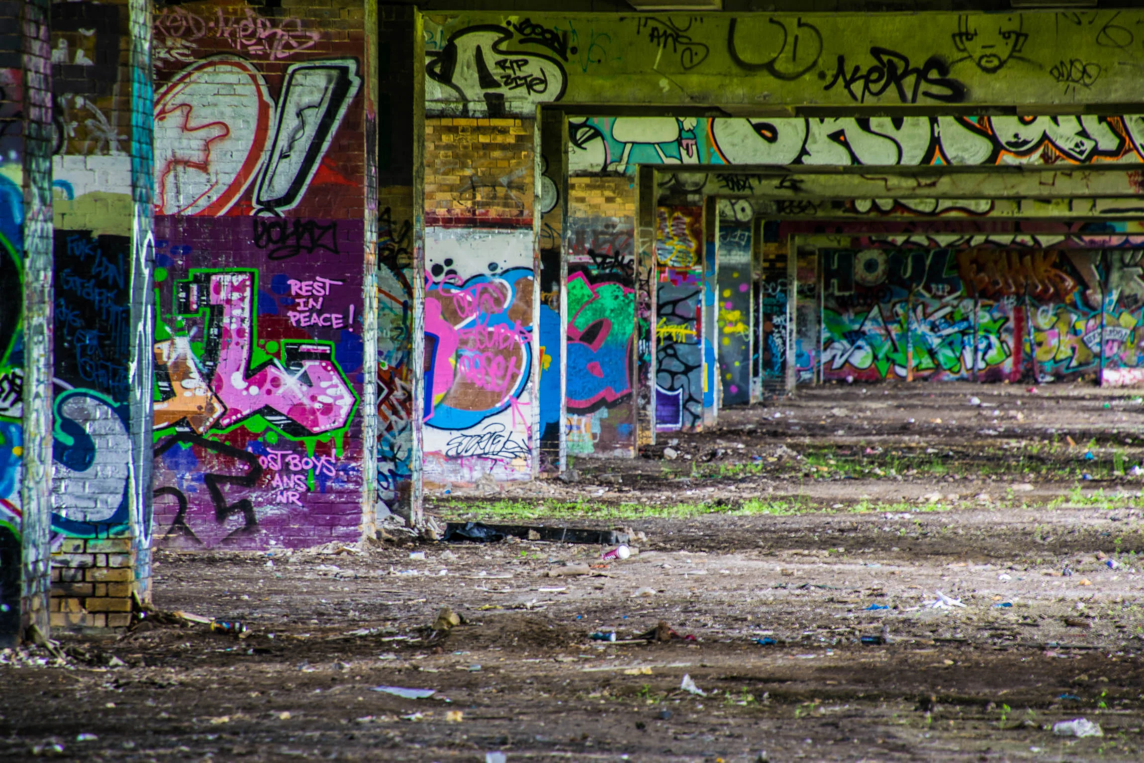 Flytipper's Car's Revisited-7.jpg