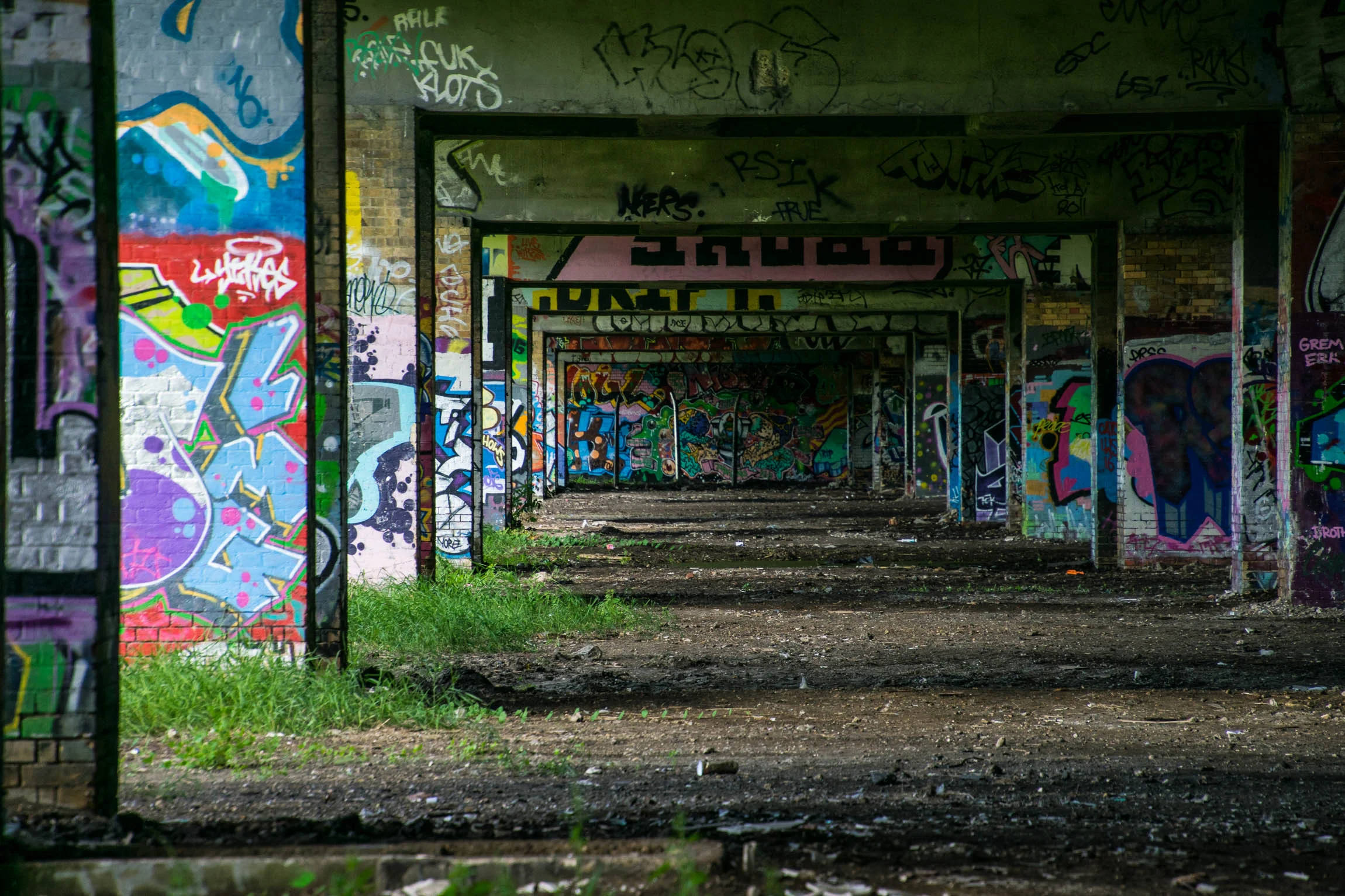 Flytipper's Car's Revisited-11.jpg