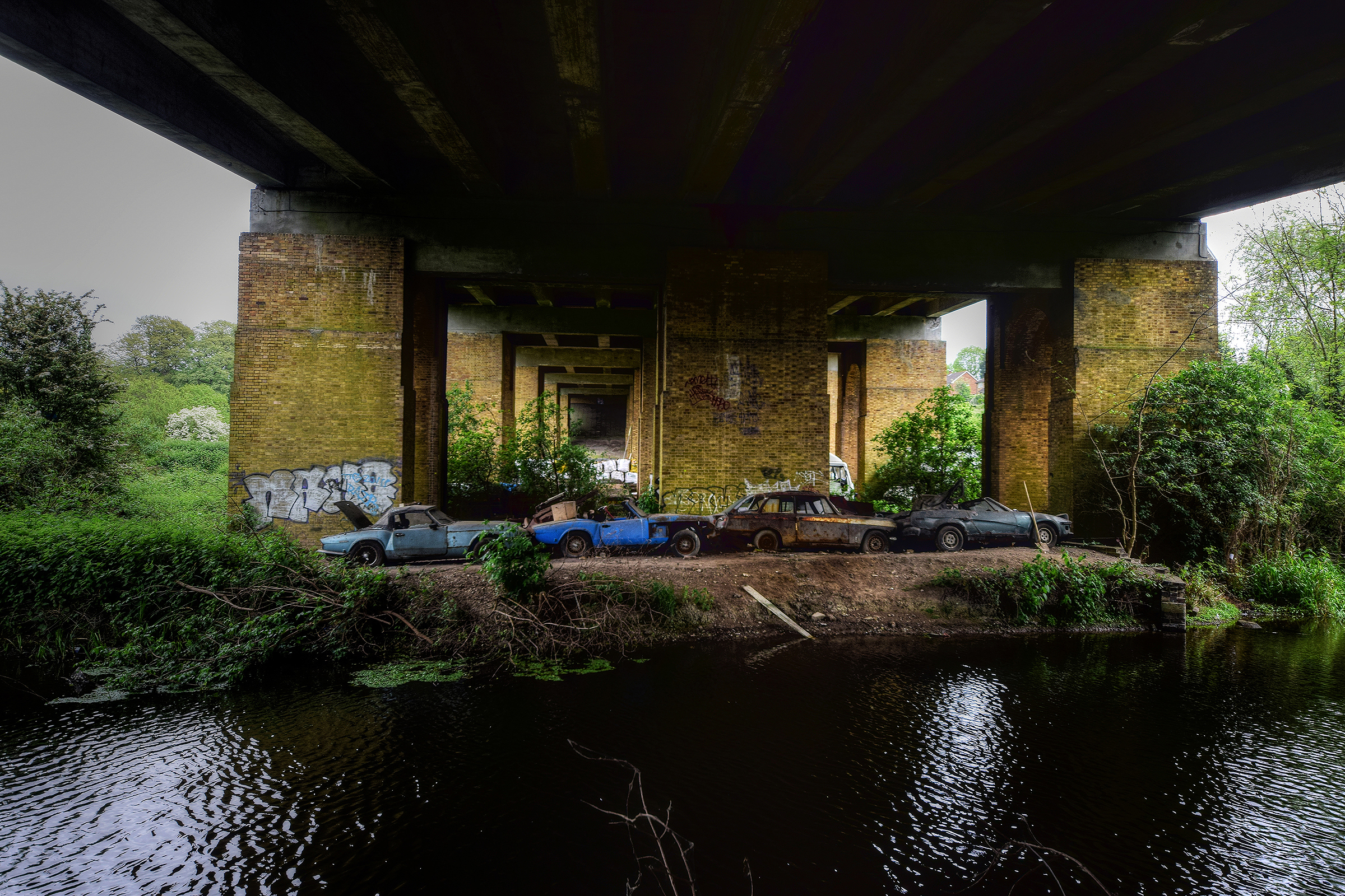 DSC_4390_Enhancer.jpg