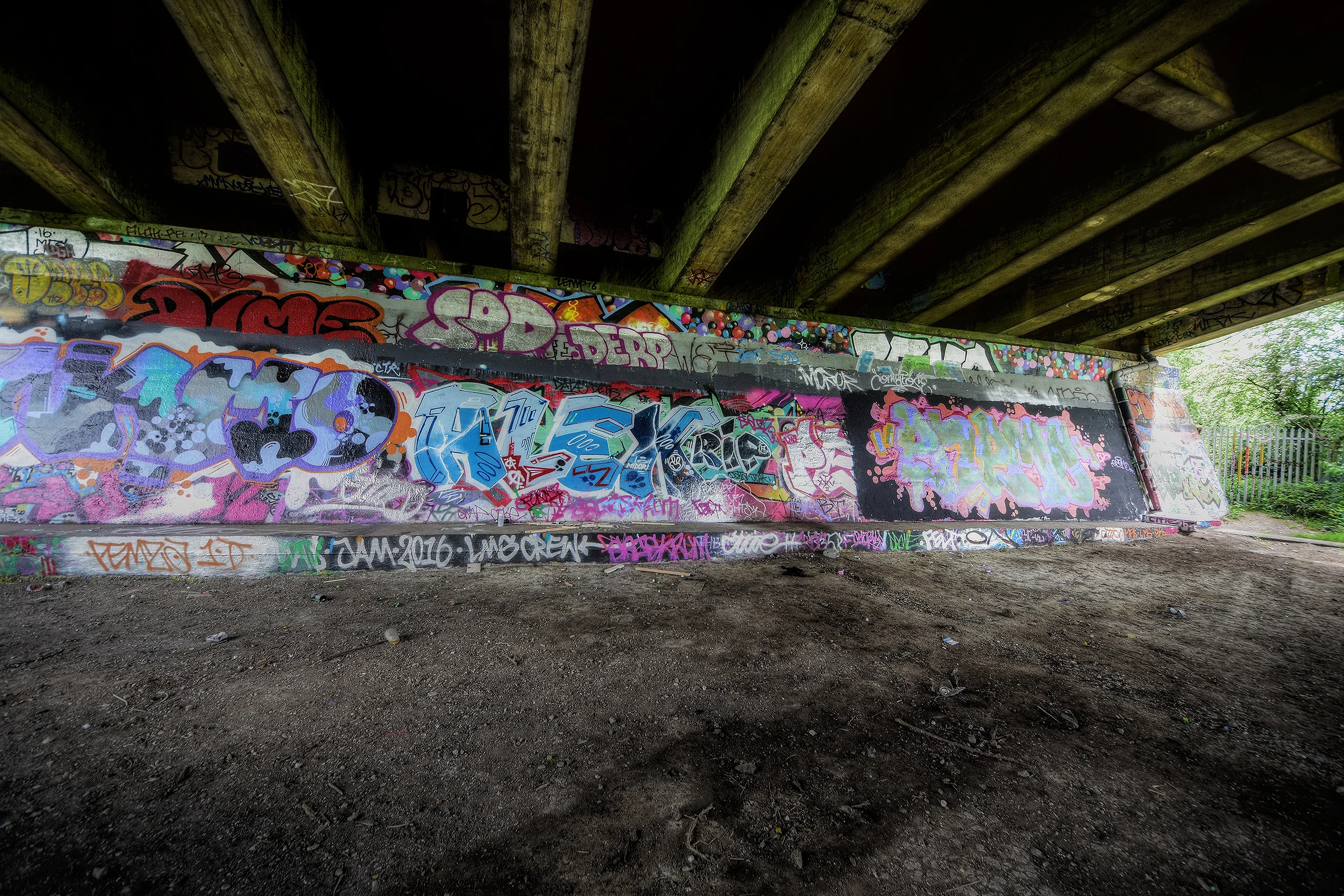 DSC_4408_Enhancer.jpg