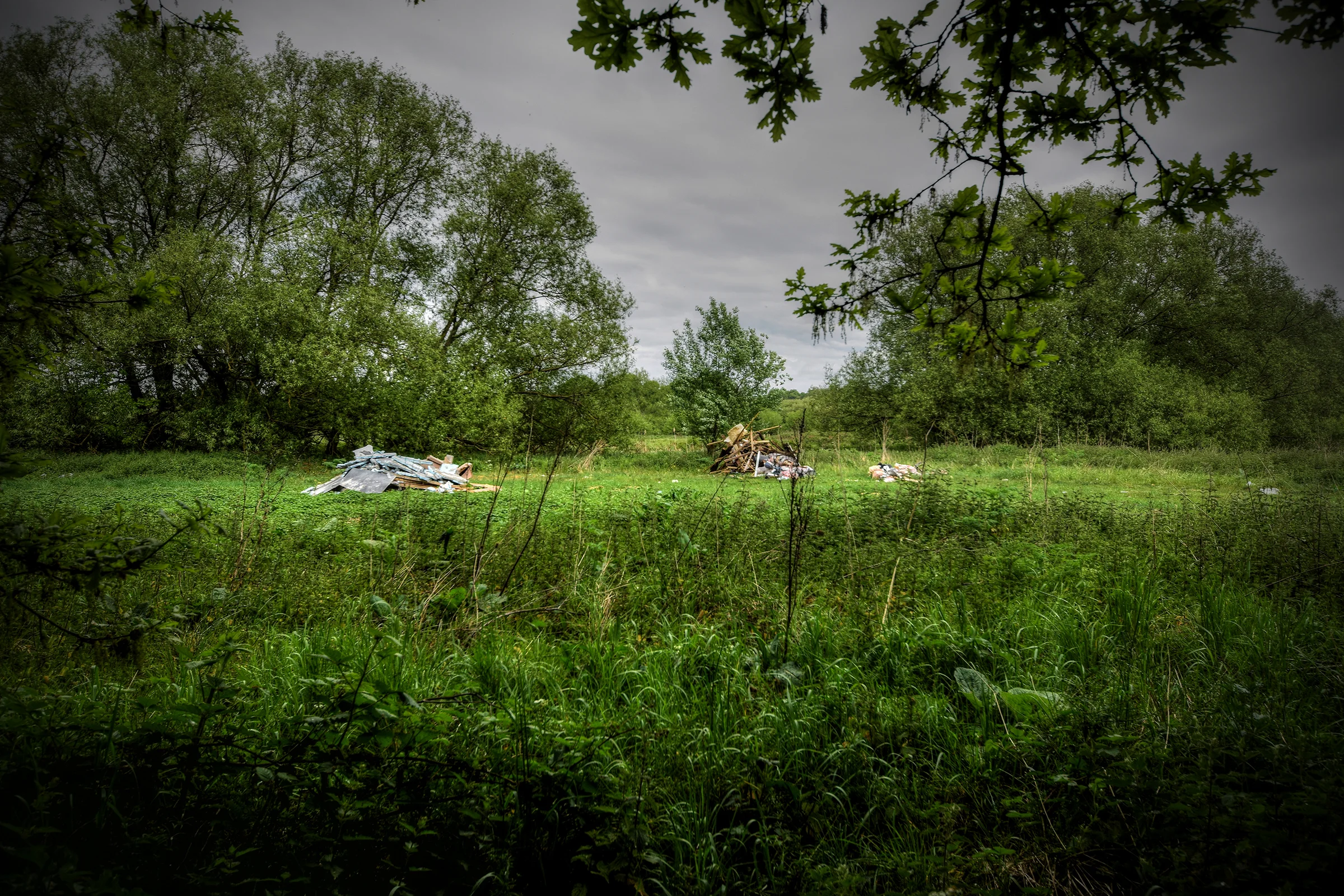 DSC_4483_Enhancer.jpg