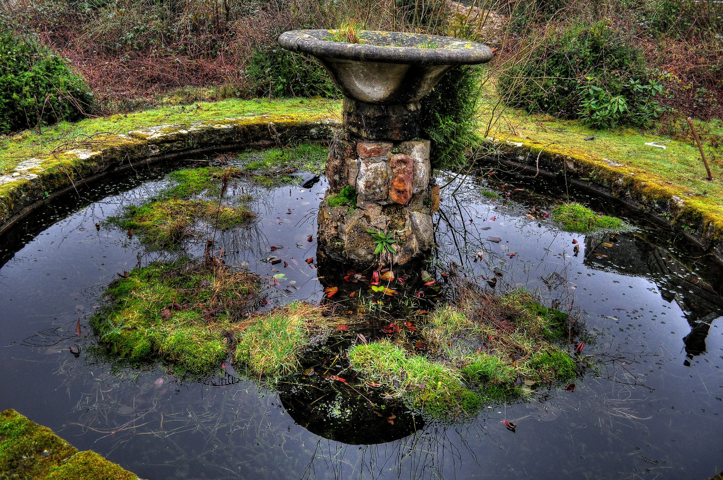 DSC_0975_6.jpg