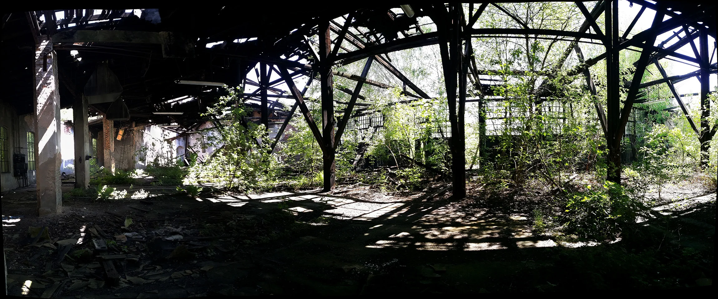 Weiden-Shed0002.jpg