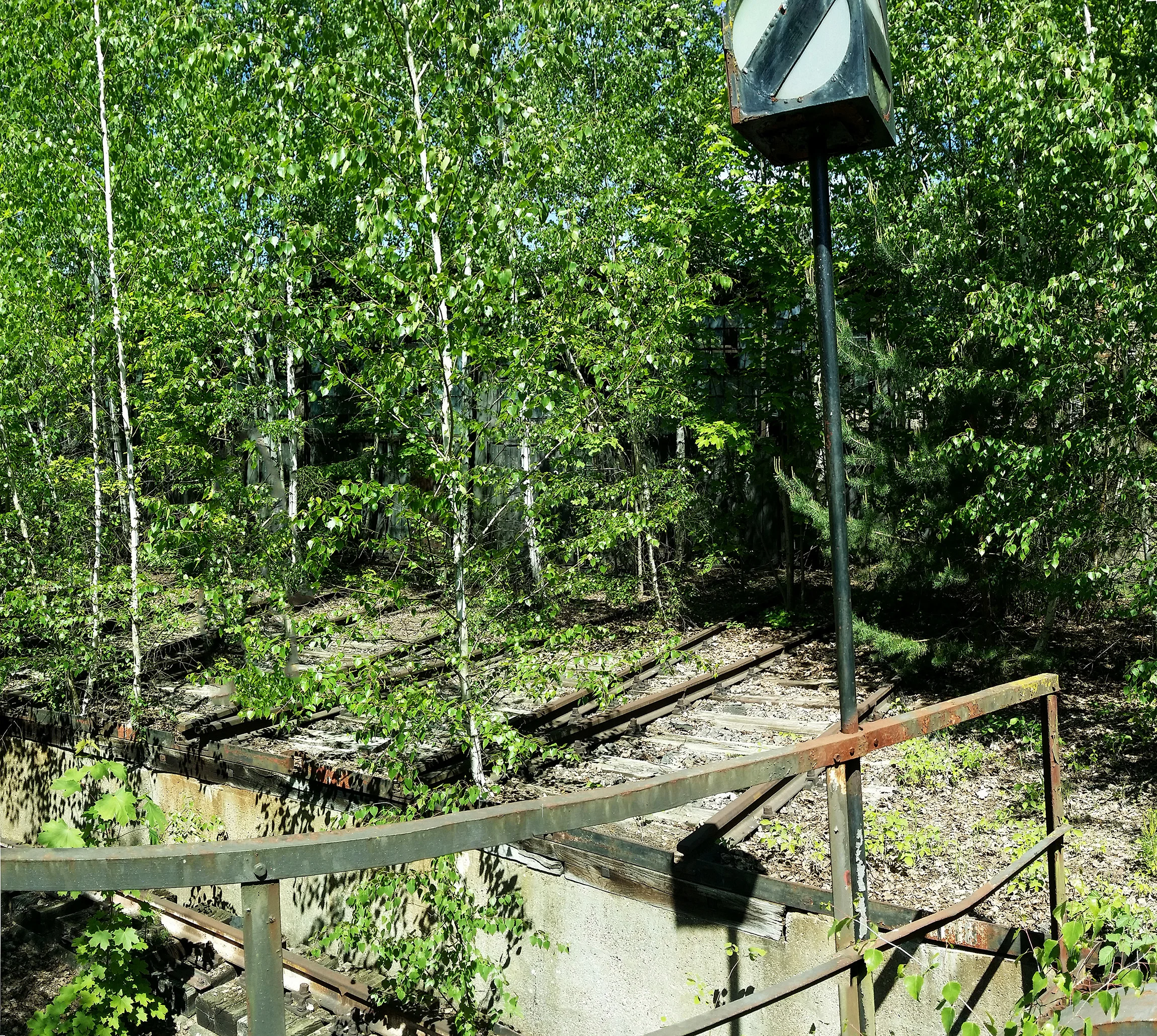Weiden-Shed0013.jpg