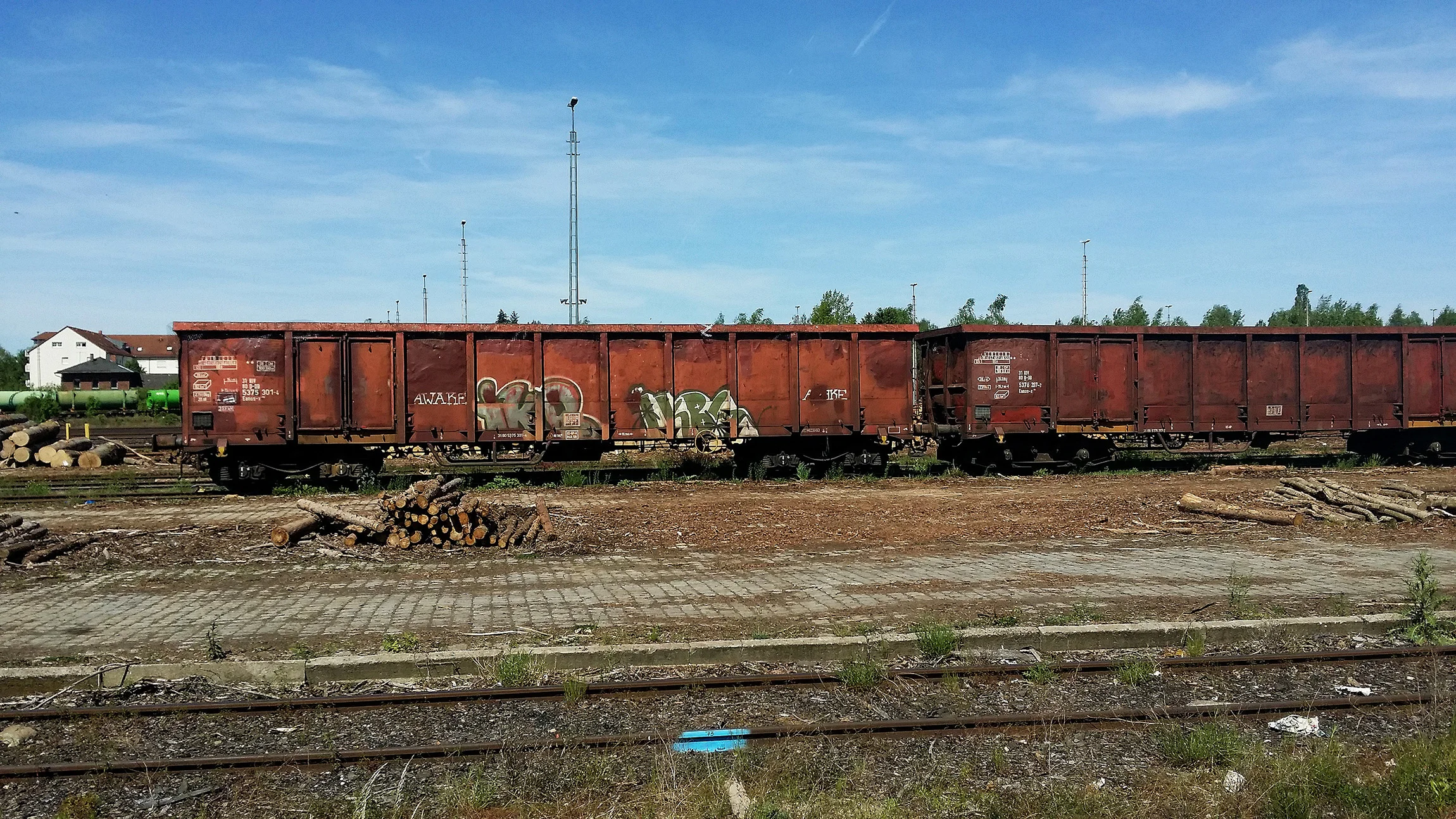 Weiden-train0001.jpg