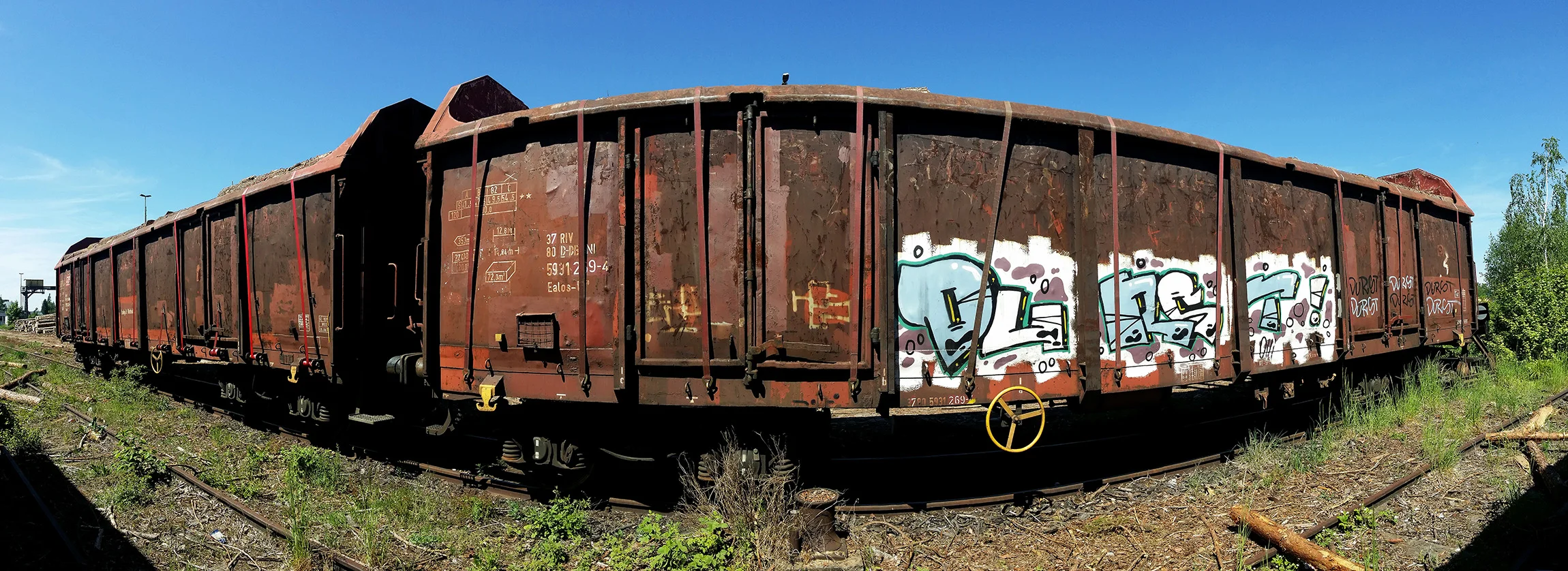 Weiden-train0010.jpg